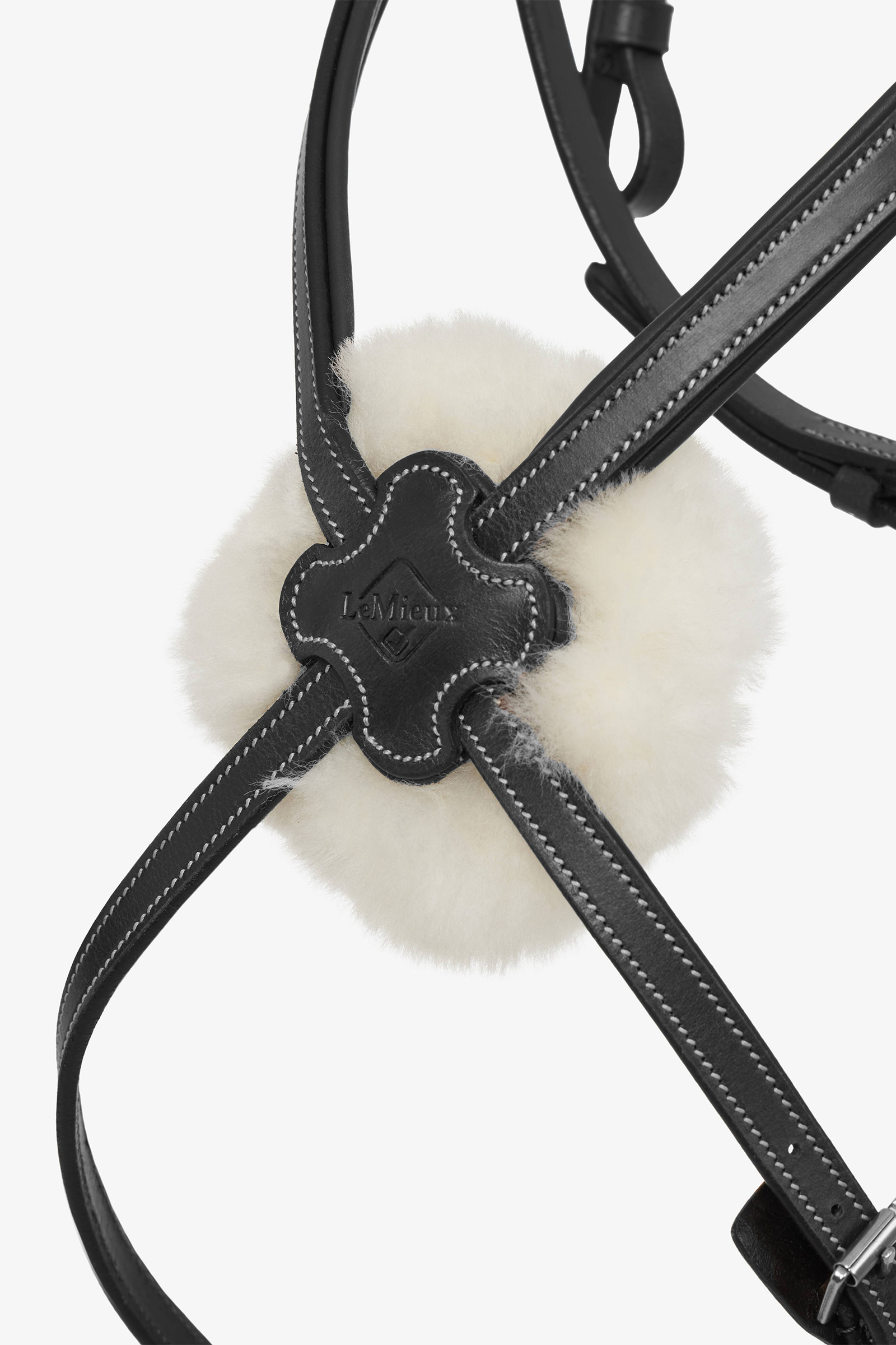 LeMieux Arika Briglia grackle