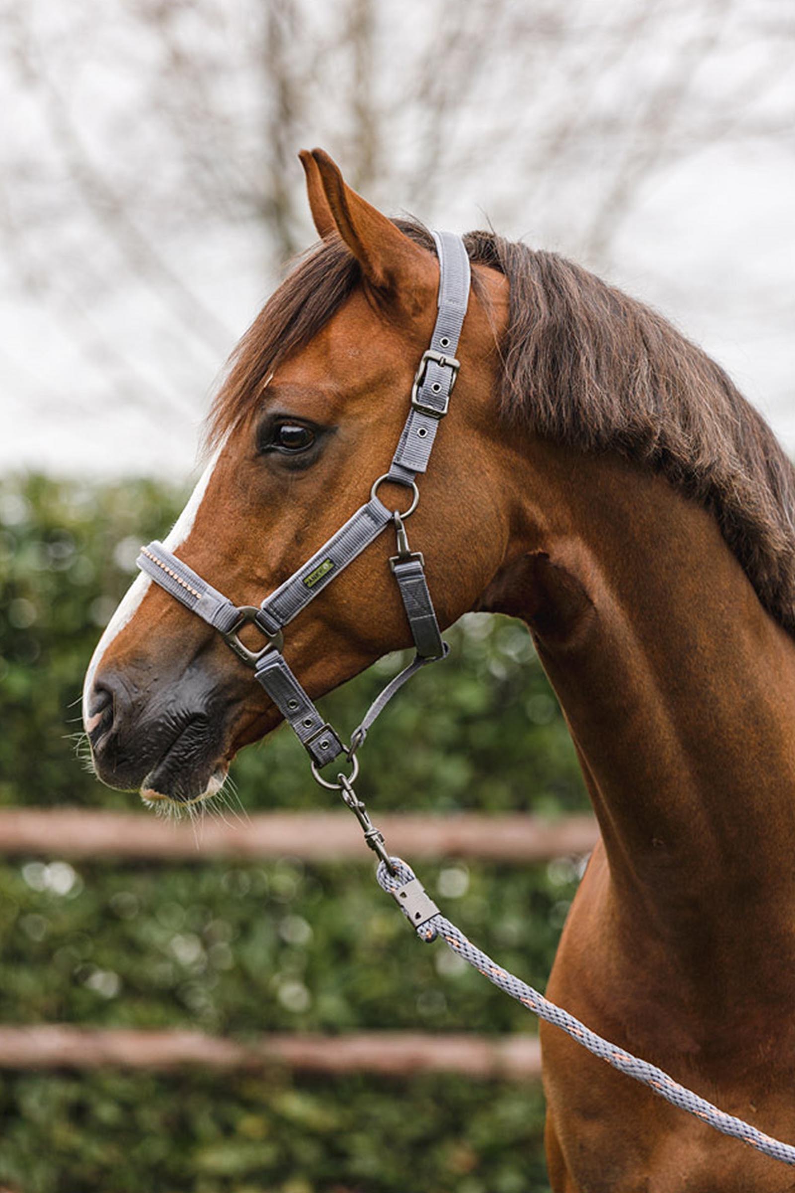 ANKY Stones Cavezza e longhina