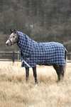 Horseware Rhino Plus Vari-Layer coperta da paddock con collo staccabile, 250 g