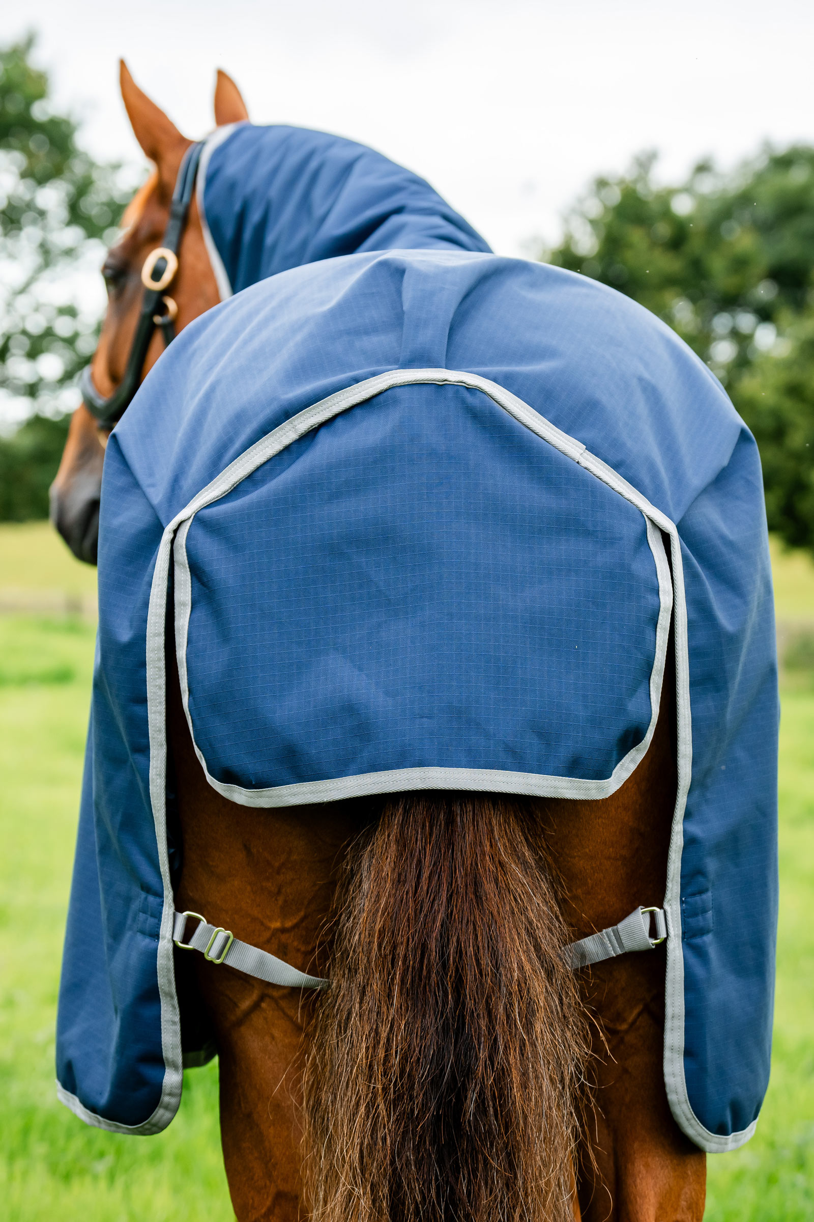 Horseware coperta da paddock Amigo Ripstop 900D, 200 g