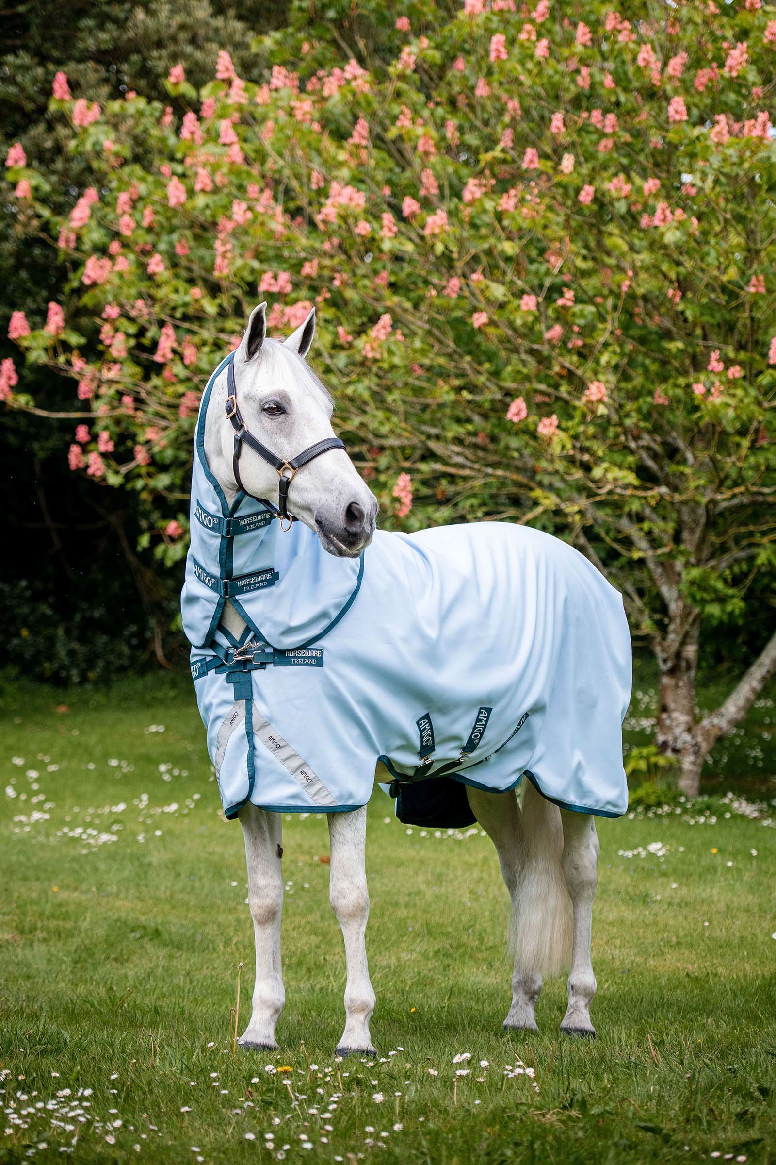 Horseware Amigo Plant Dye Coperta da turnout, 50 gr