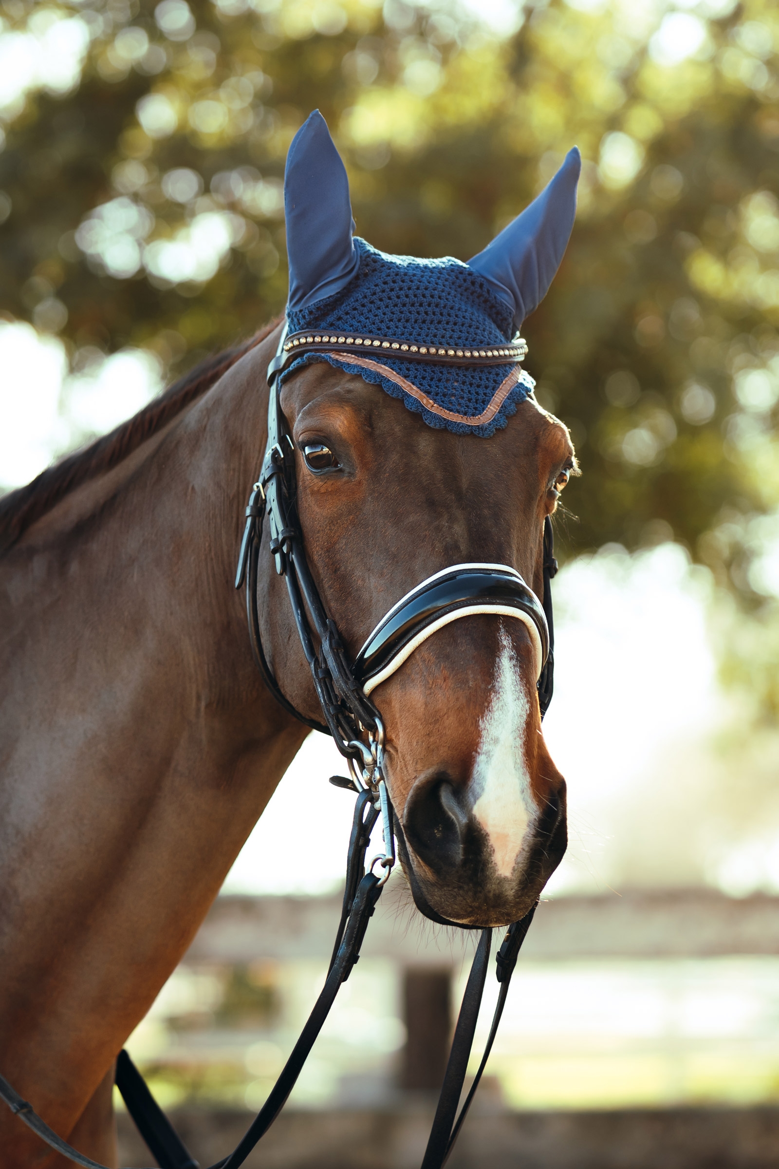 Horze Munich Cuffiette per cavalli con dettaglio in metallo