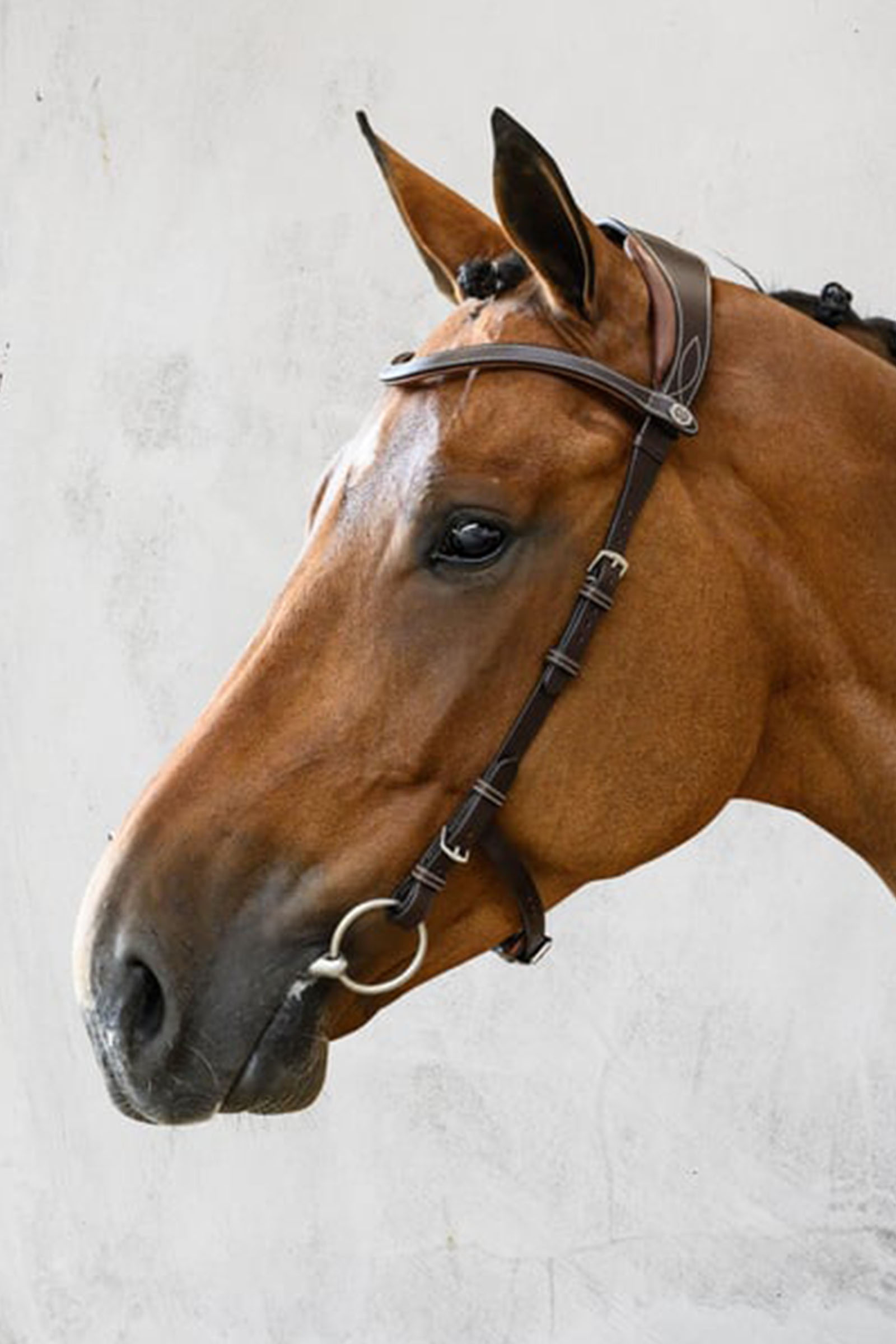 PS of Sweden Helsinki Briglia