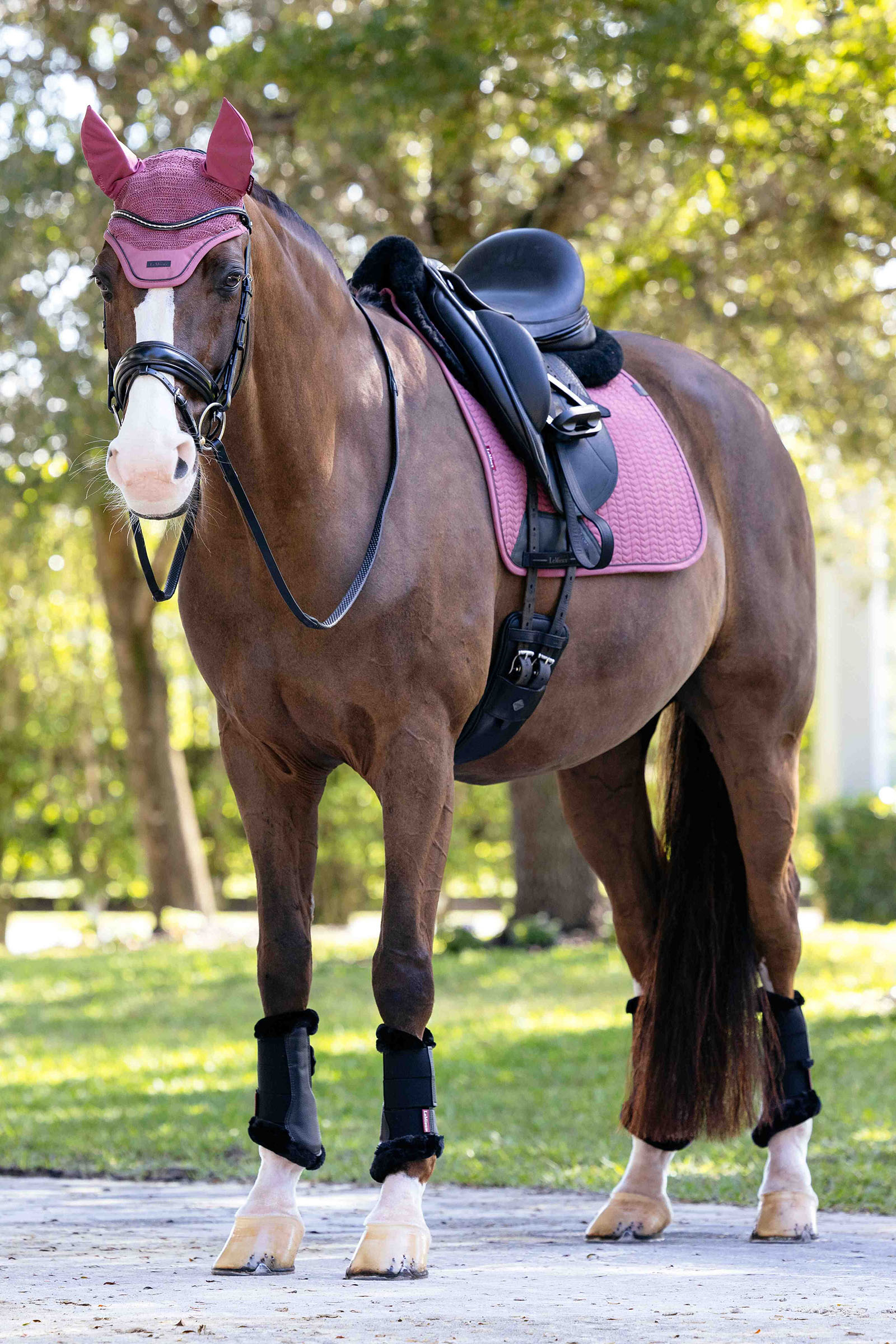 LeMieux Essence Sottosella dressage