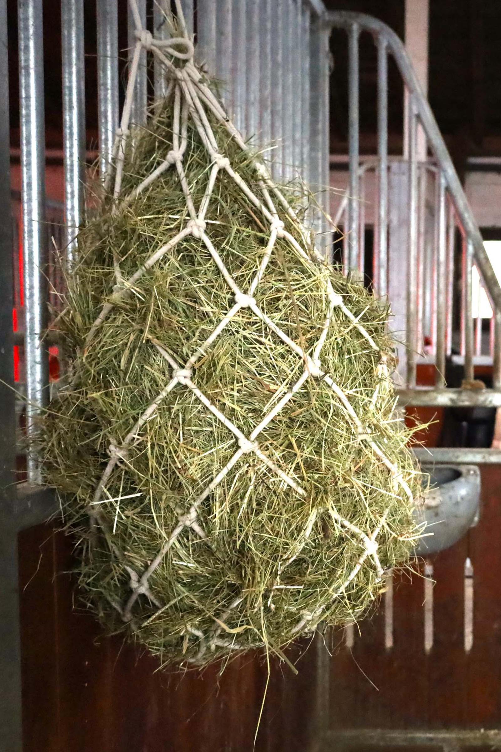 USG rete per fieno in cotone, maglia 10 x 10 cm