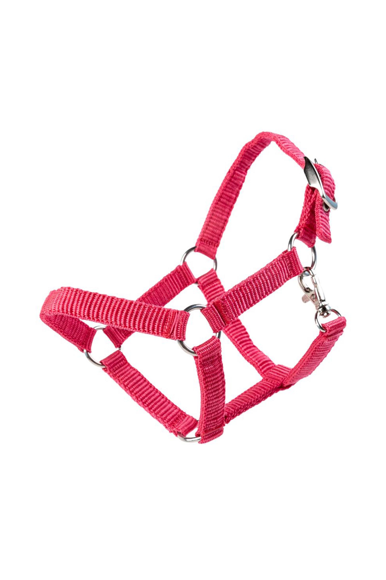 My Hobby Horse capezza in nylon