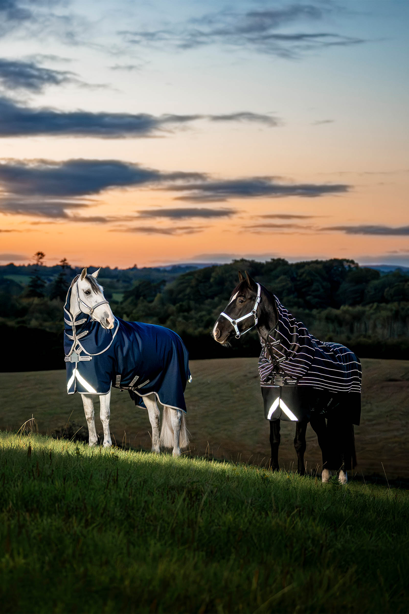 Horseware Amigo 1200D FieldSafe Plus coperta da esterno, 100 g