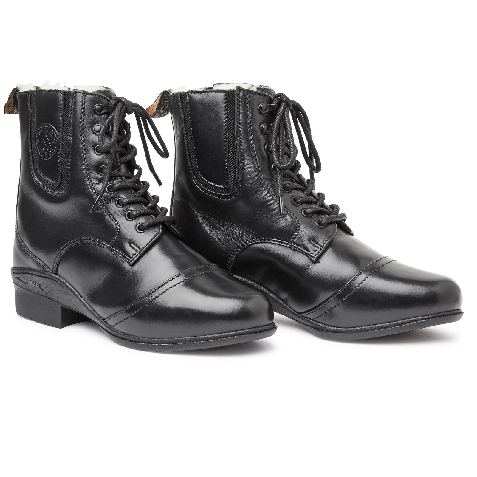 Paddock invernale di Mountain Horse Aurora