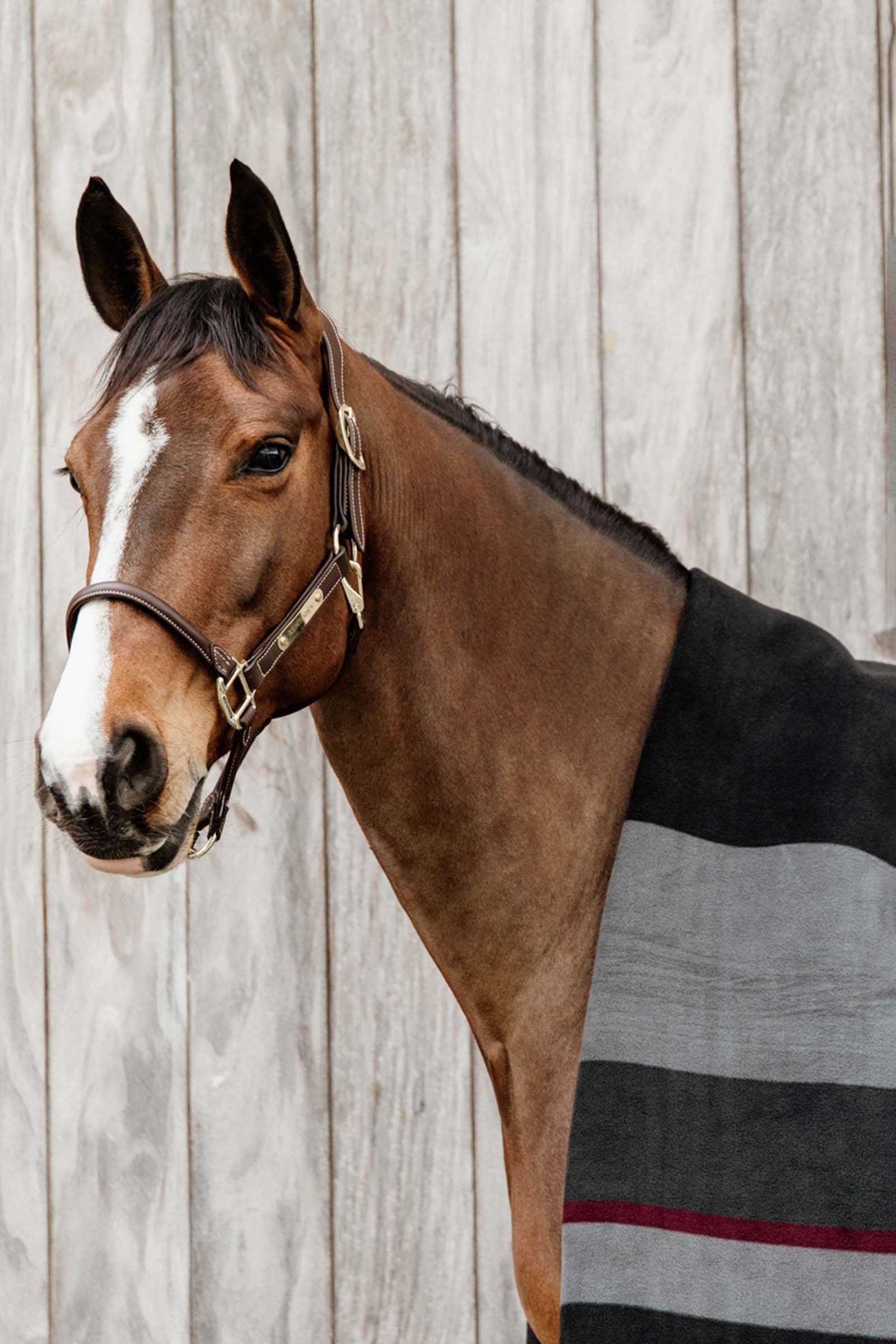 Kentucky Horsewear Coperta in pile pesante