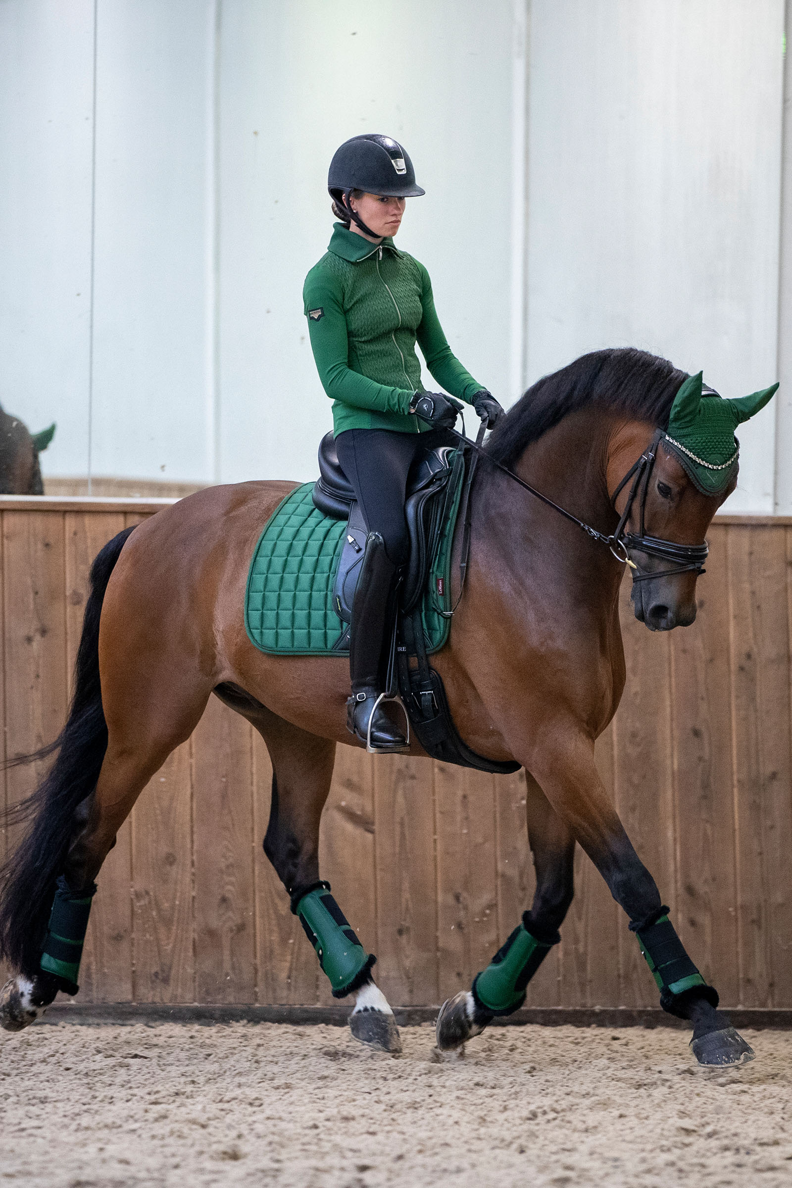 LeMieux Loire Classic sottosella dressage