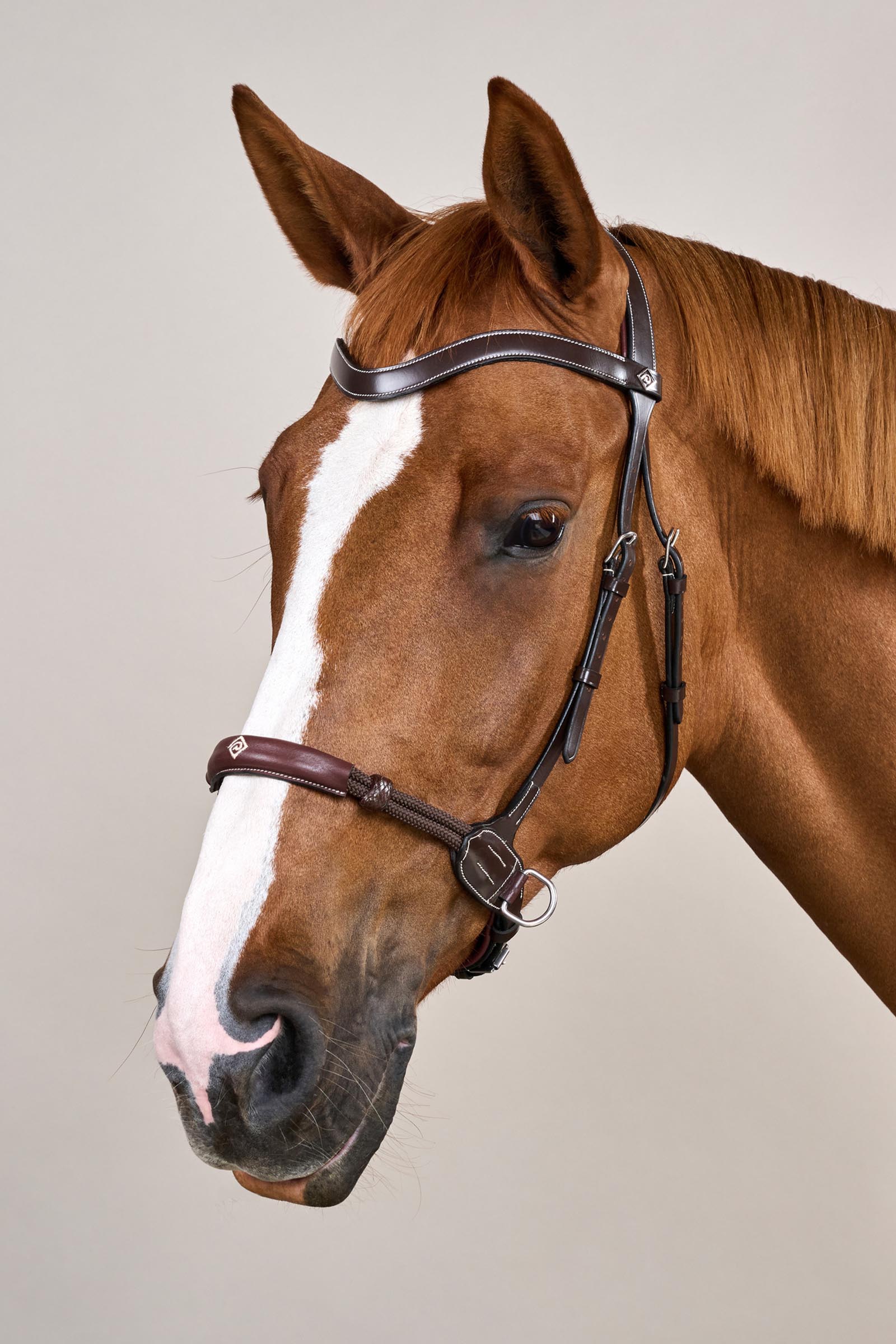 Dy'on Working briglia senza morso  