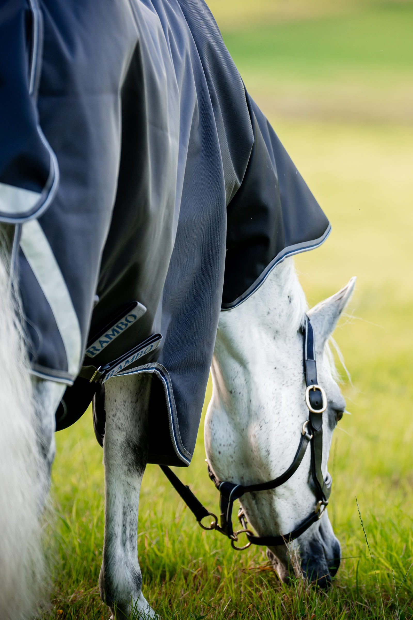 Horseware Rambo 1680D Plus Vario Layer coperta da esterno, 250 g