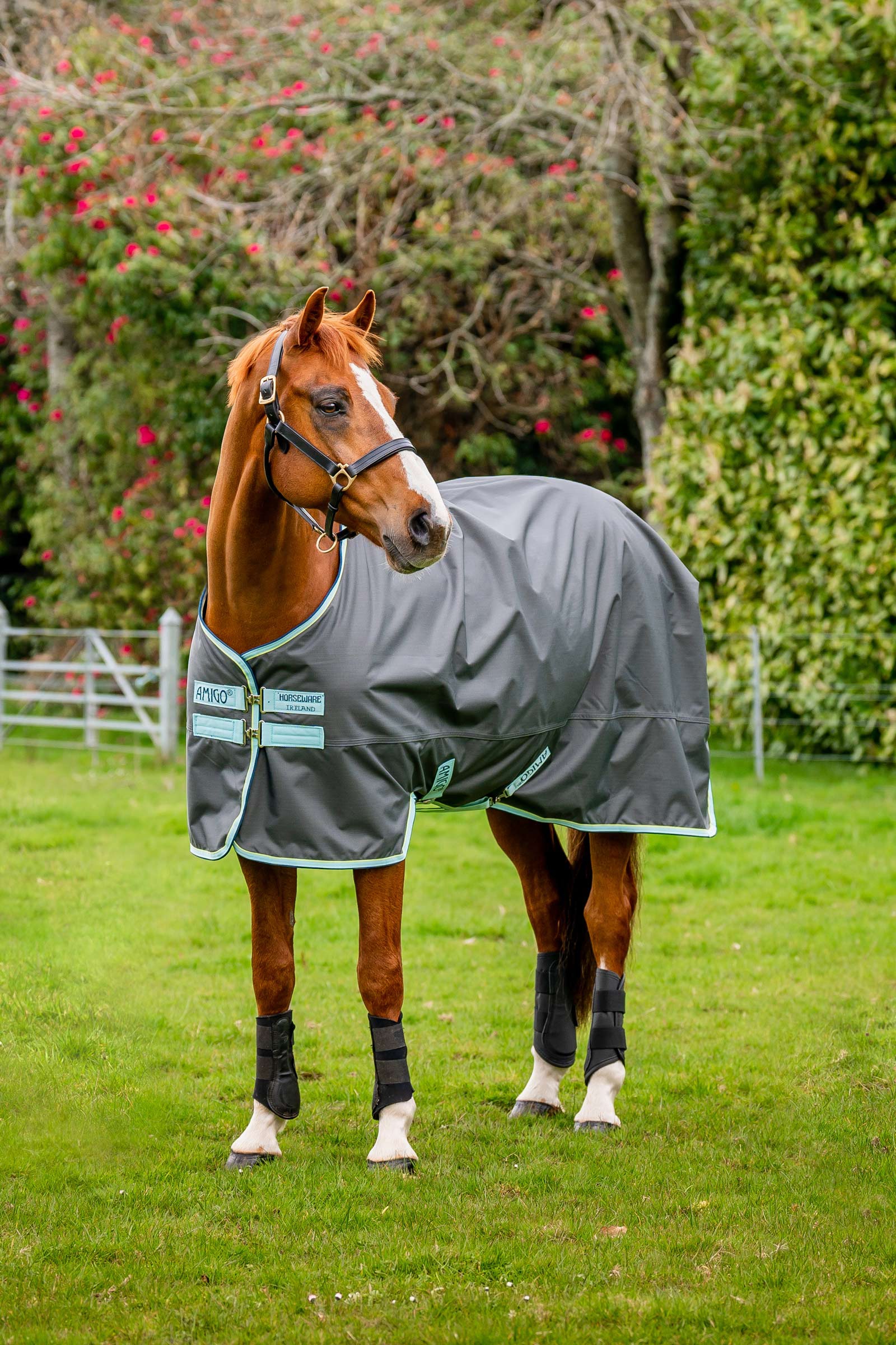 Horseware Amigo Hero Ripstop coperta da turnout con fodera in pile, 50g