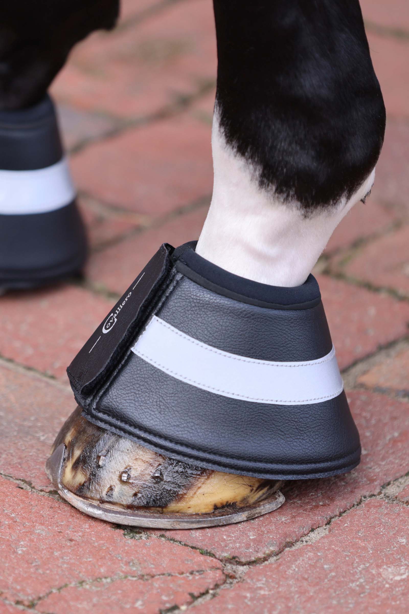 Covalliero Reflective Paraglomi 