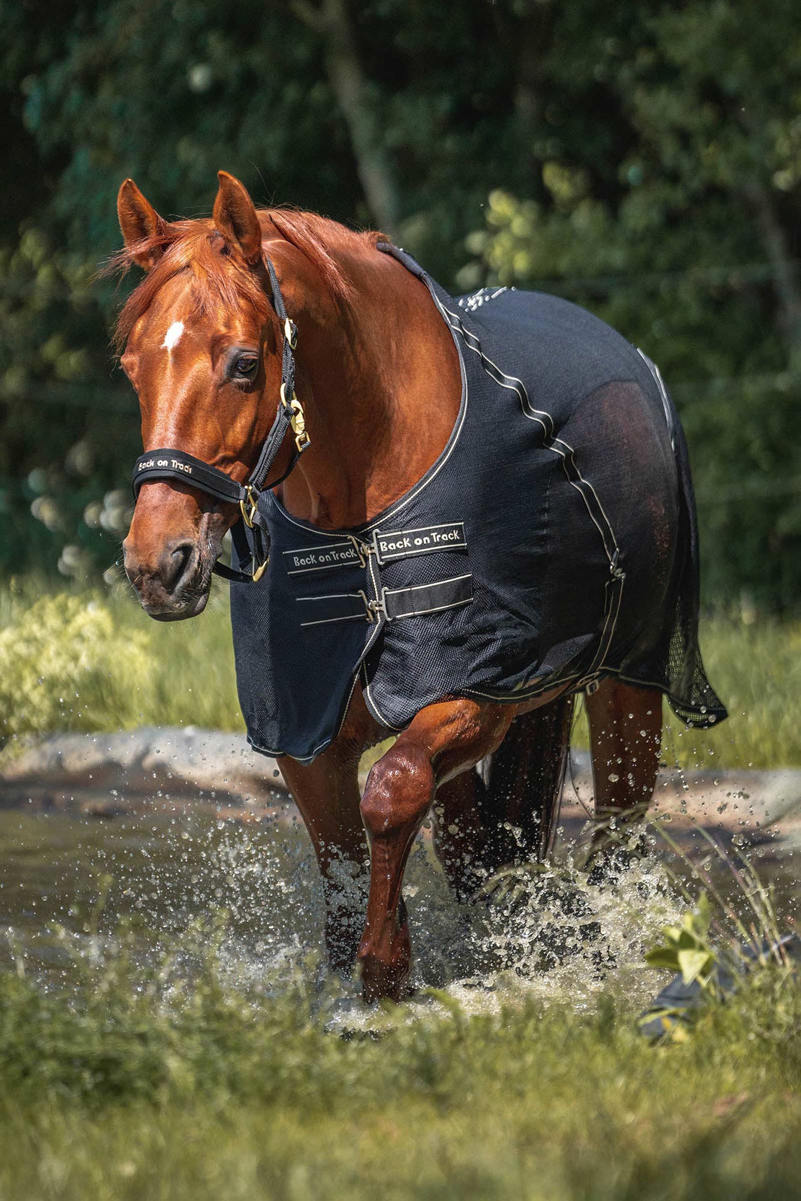 Back On Track Sienna Coperta raffreddante