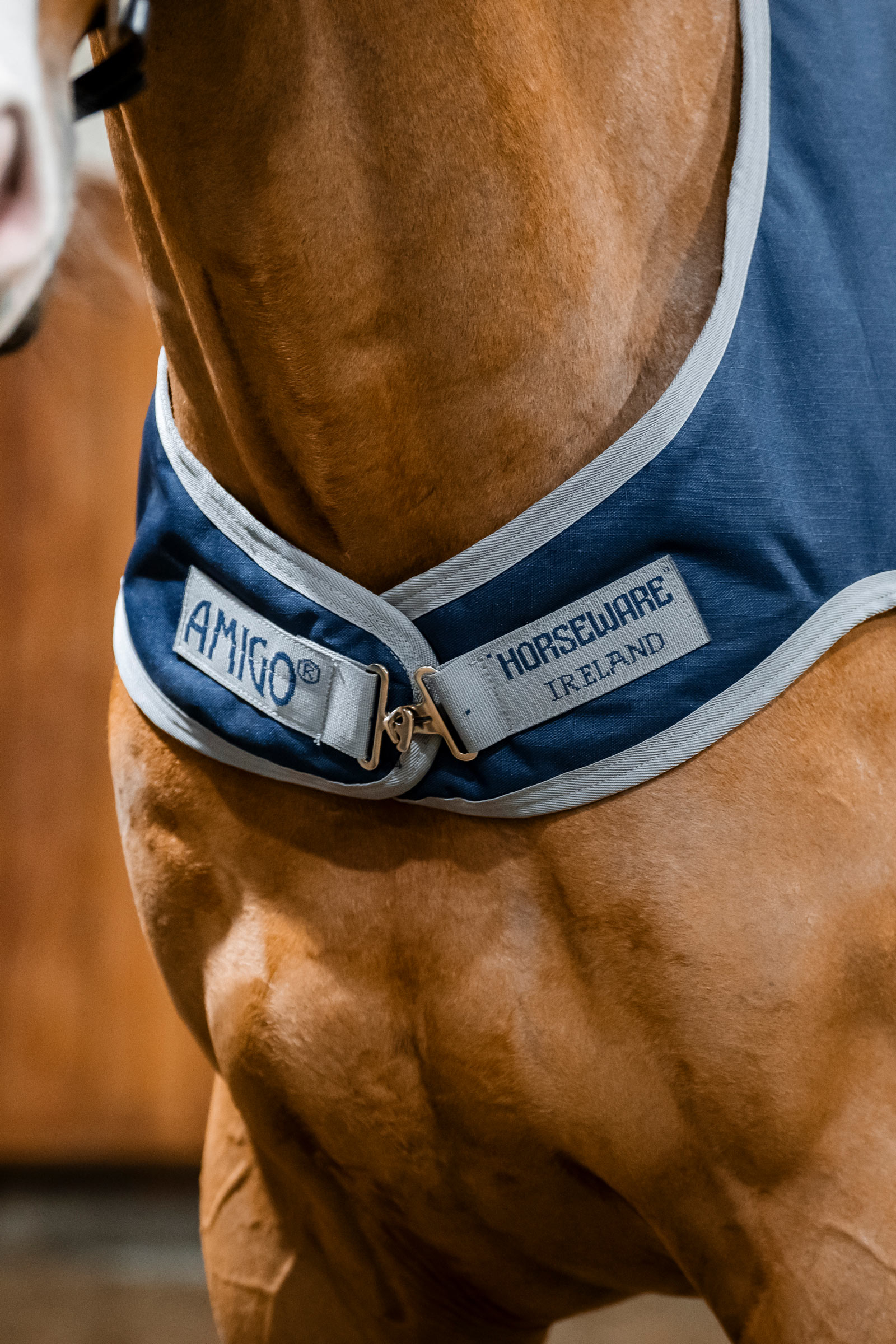 Horseware Amigo Ripstop 900D Walker coperta, 100 g