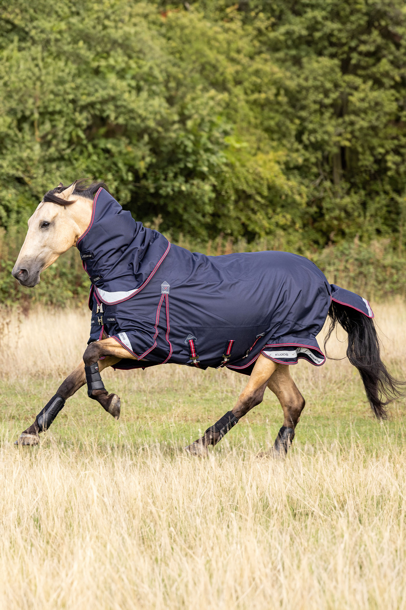 LeMieux Kudos coperta da paddock leggera 100g