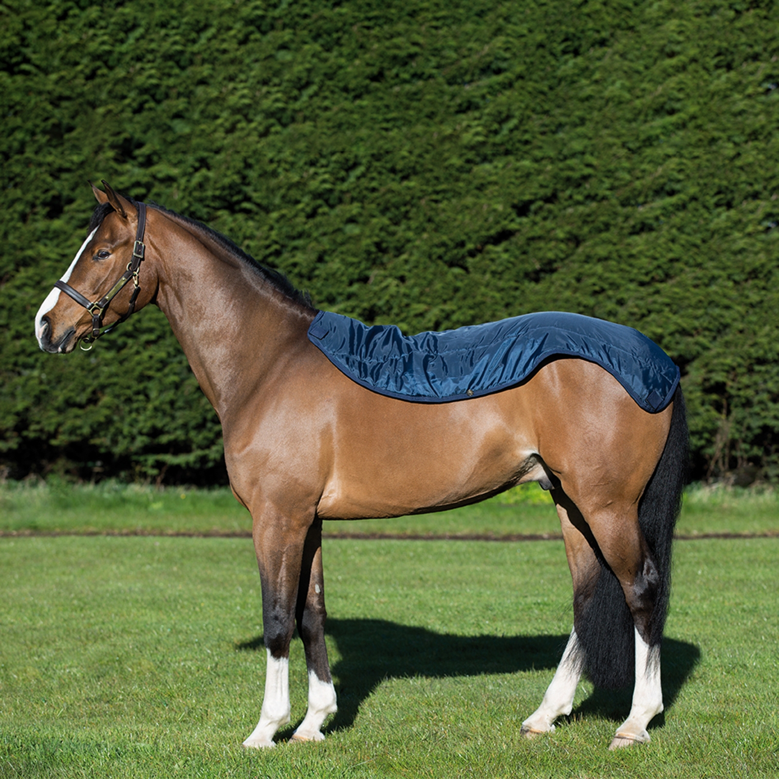 Horseware Rambo Summer Series coperta da paddock con fodera (0g / 100g) e collo staccabile