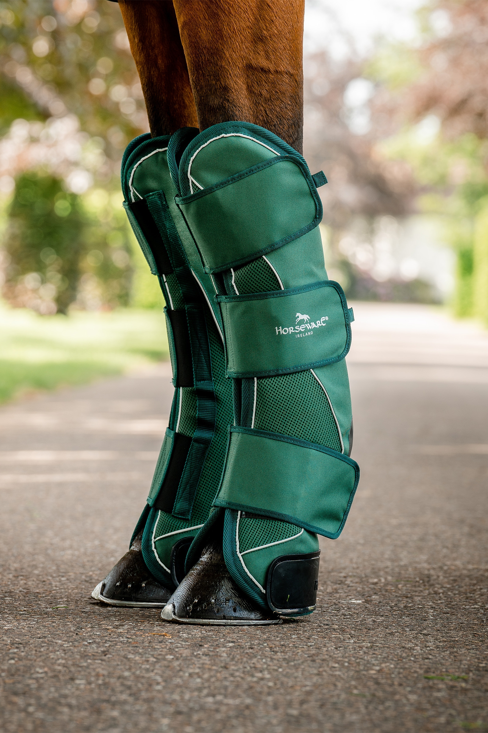 Horseware Signature Gambali da Trasporto