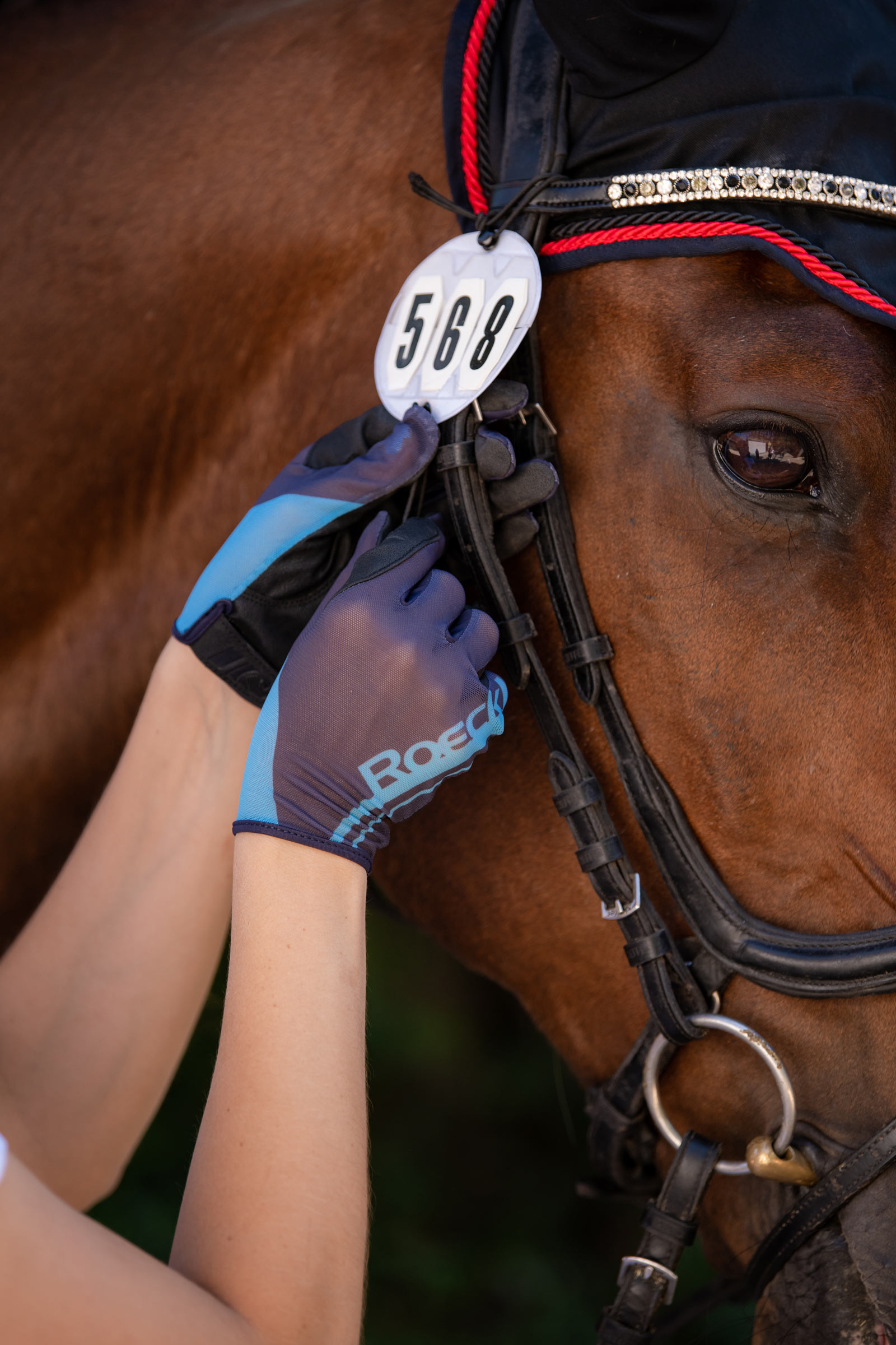 Roeckl Moyo guanti da equitazione estivi  