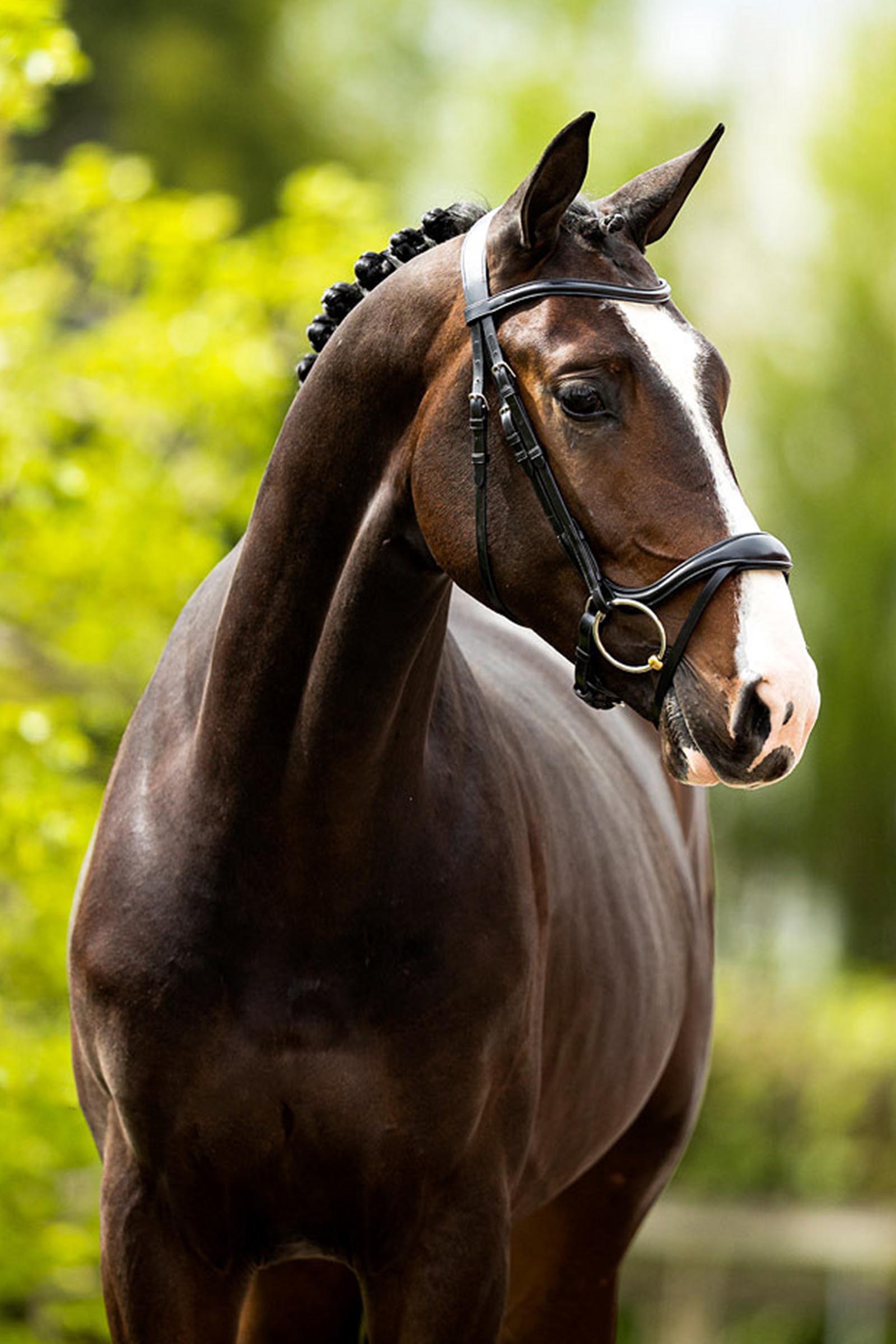 BR Longridge testiera