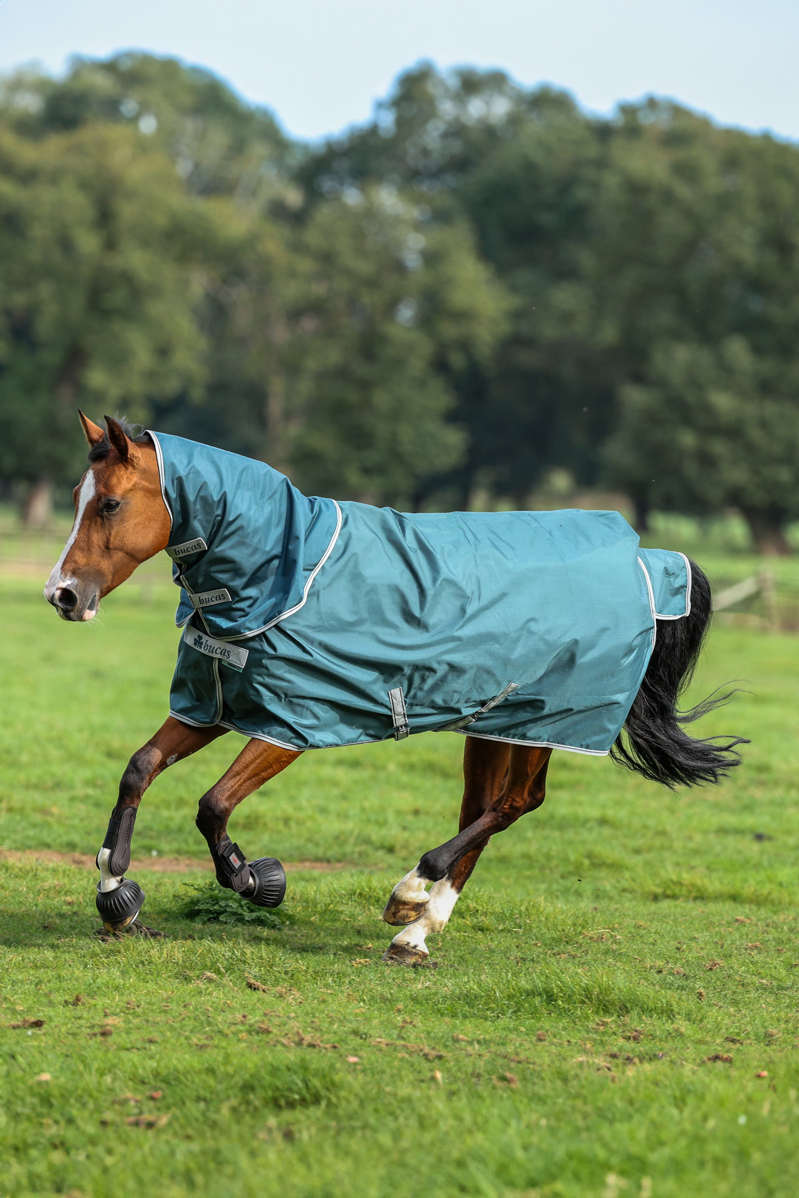 Bucas Atlantic Turnout Colletto, 50 g