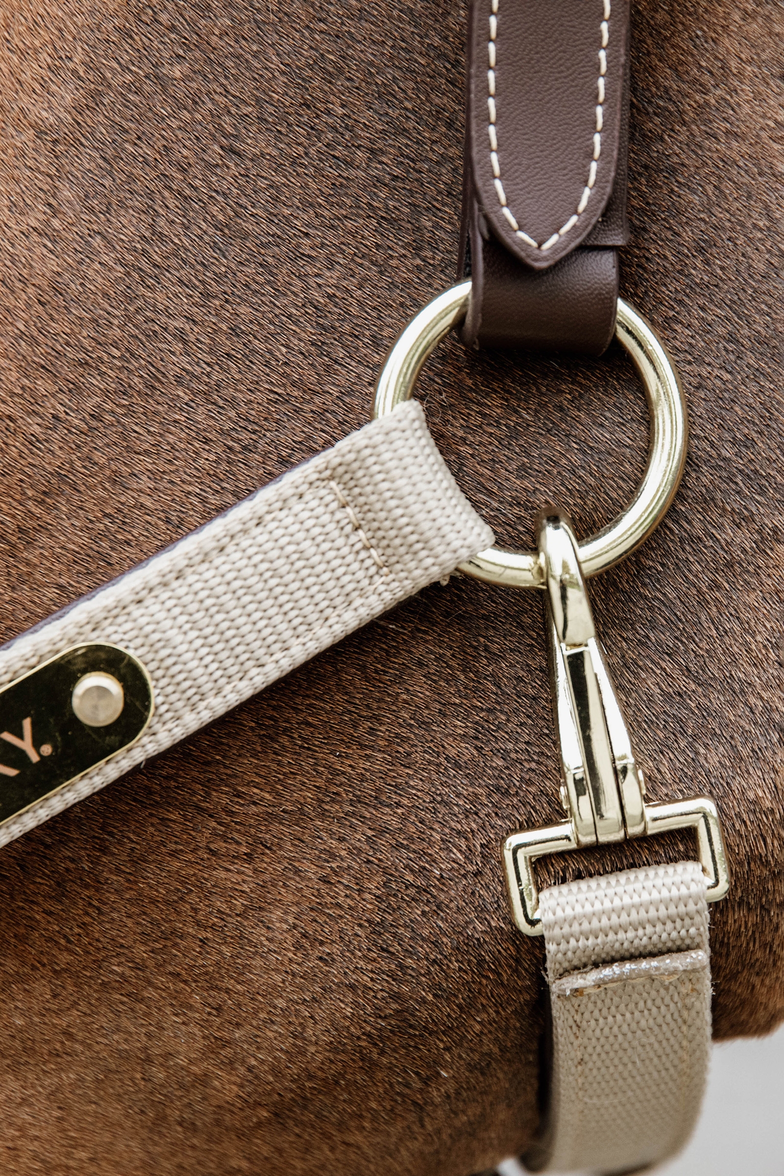 Kentucky Horsewear Cavezza anatomica in nylon