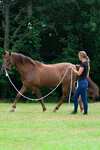 F.R.A. Freedom Riding Articles Flinn Longhina di lavoro cotone, 820 cm