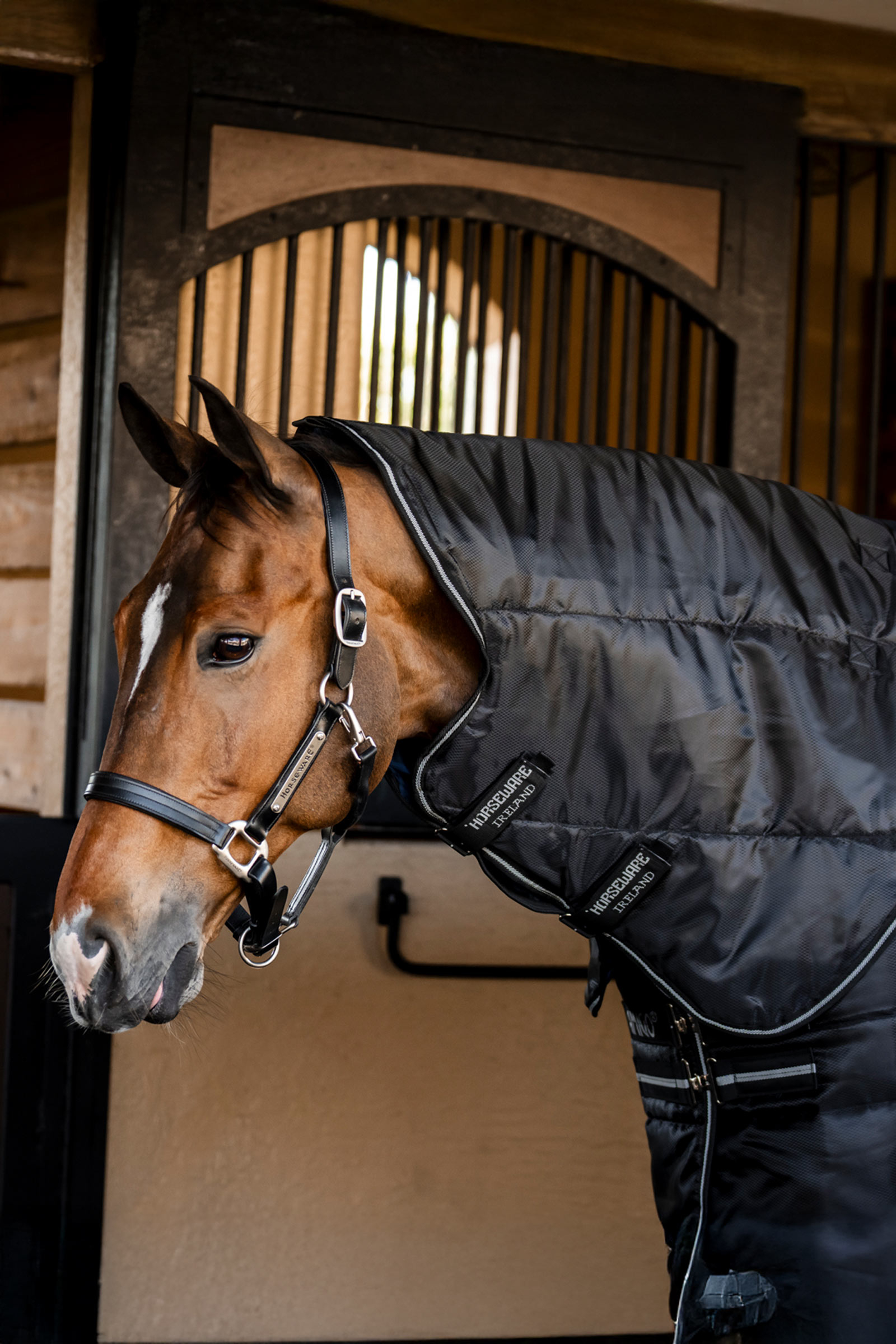 Horseware Amigo Ripstop Insulator Plus coperta da box, 350 g