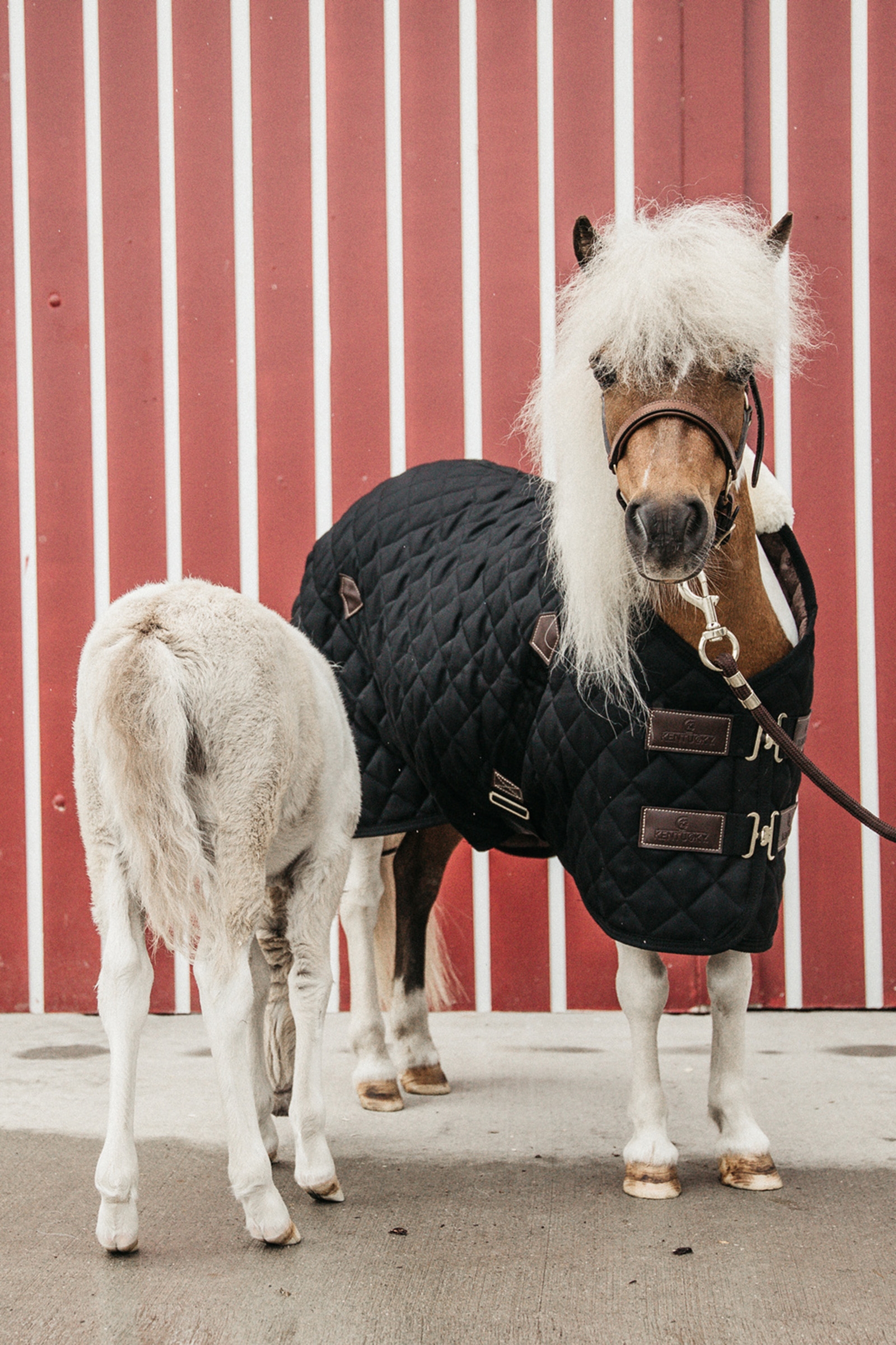 Kentucky Horsewear, Coperta da scuderia 400 gr