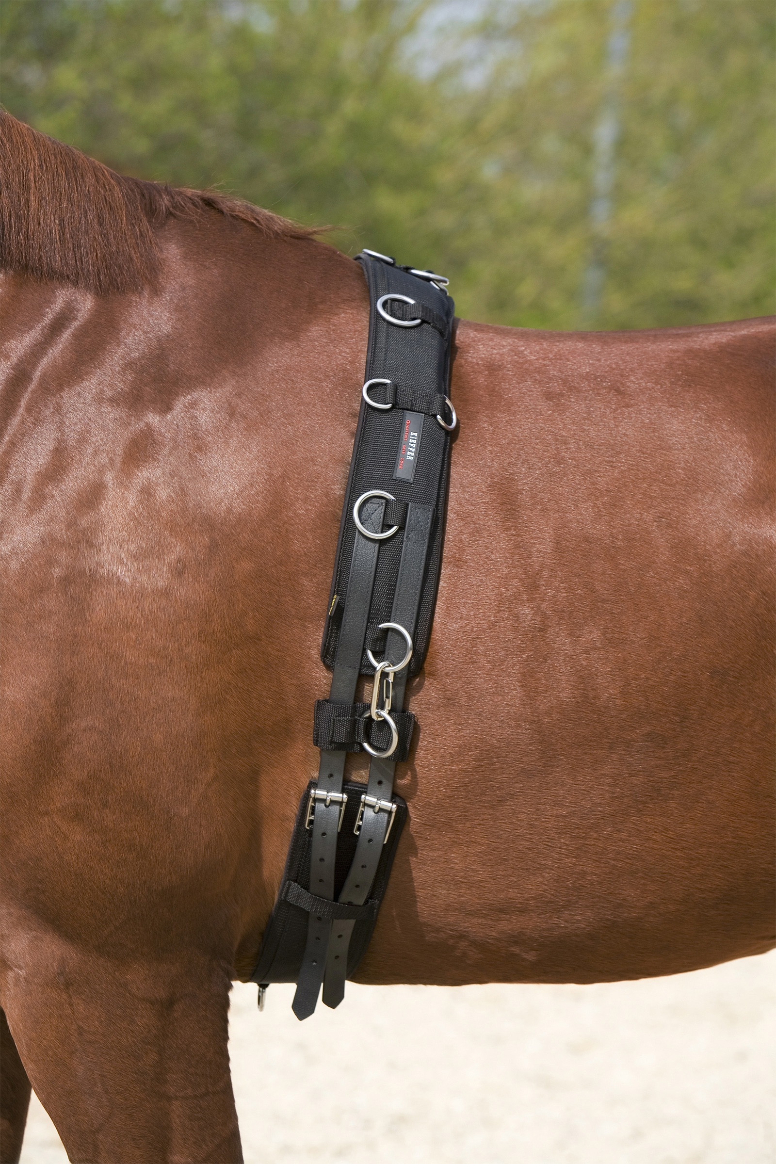 Sottopancia da affondo Kieffer