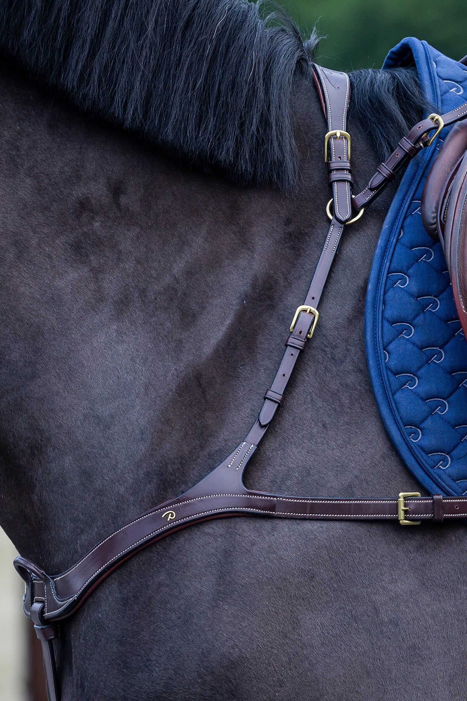 Dy'on D Collection pettorale anatomico