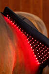 Horseware Pad terapeutico a LED con luce rossa