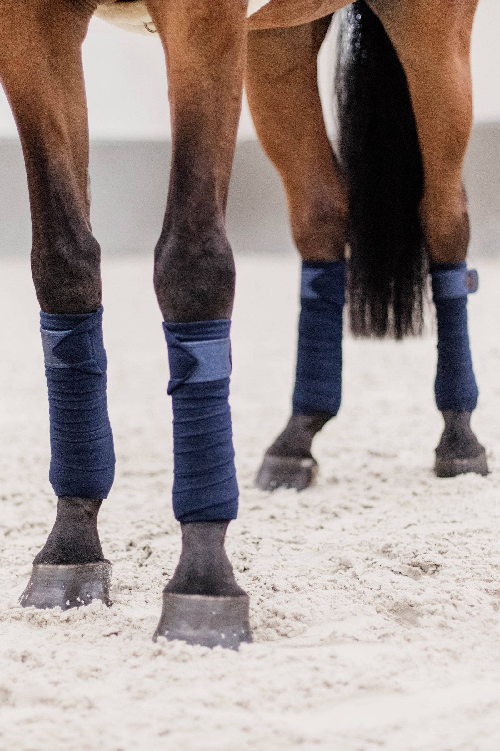 Polo in pile polare glitterato Kentucky Horsewear