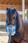 Hippomed Maschera per inalazione incl. Accessori per AirOne, Shetland/Foal
