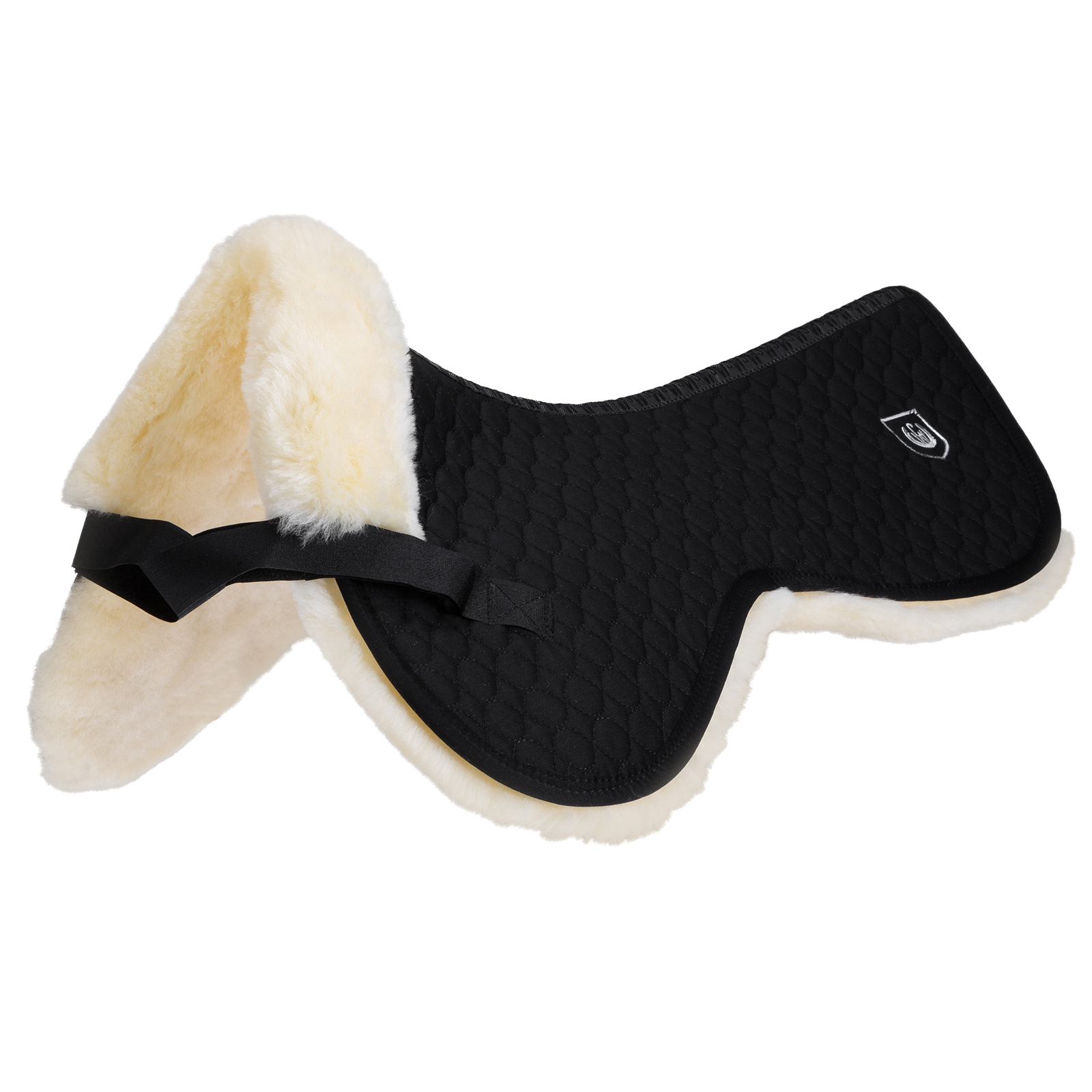 Salvagarrese Christ con quartieri