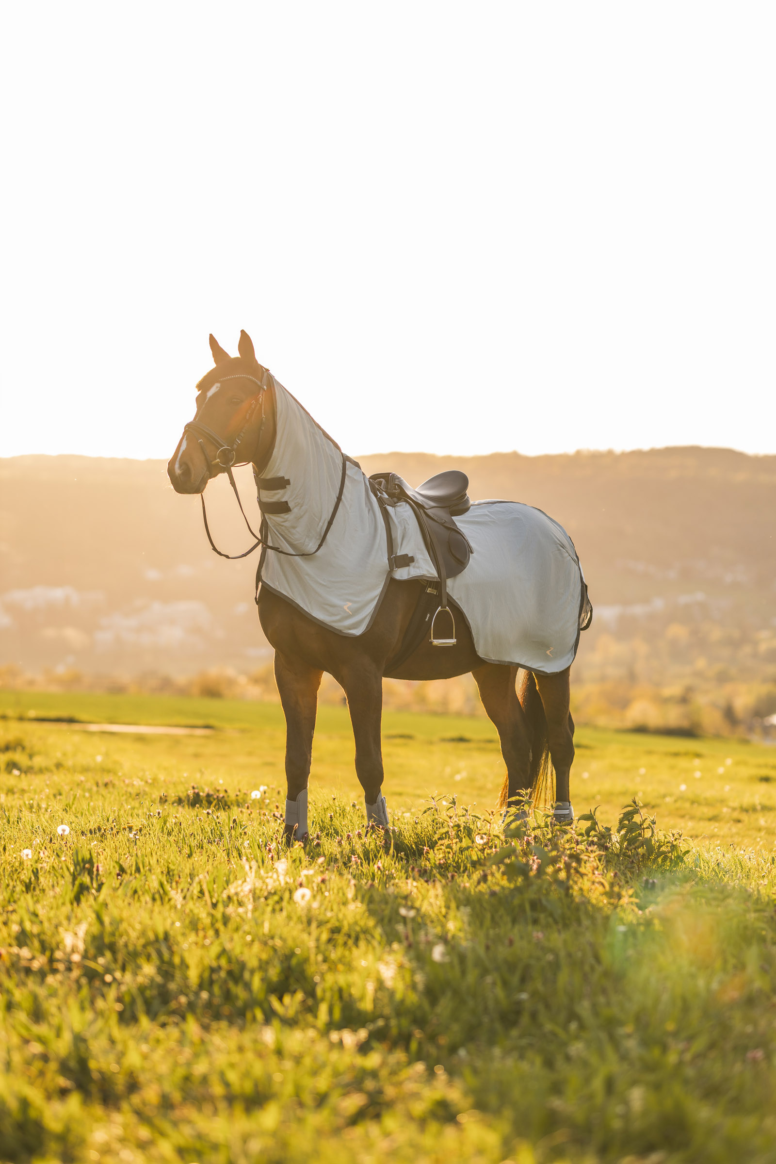 Horze Eira coperta da equitazione UV antimosche con collo staccabile