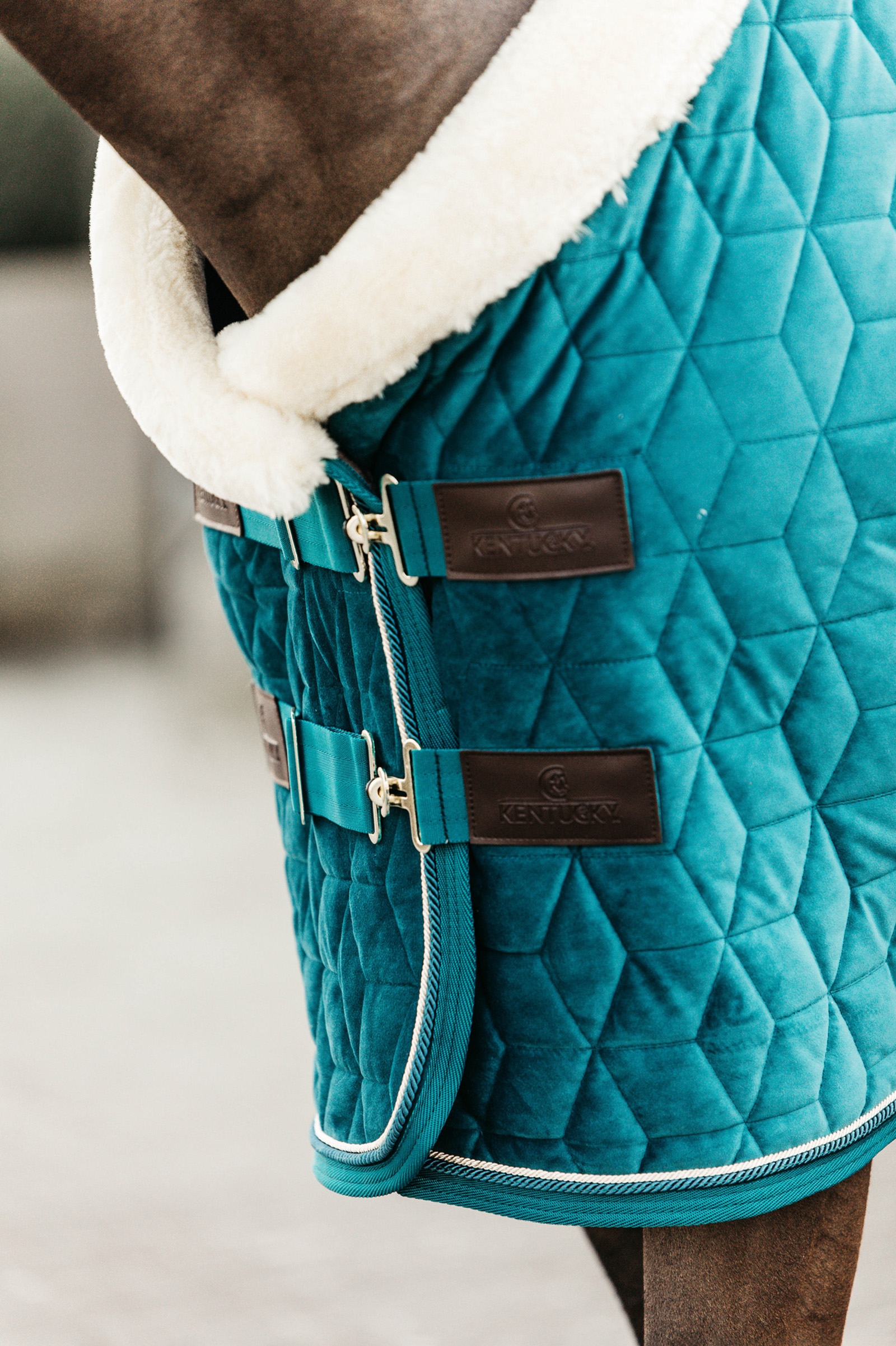 Kentucky Horsewear Coperta da concorso Velvet per pony, 160 gr