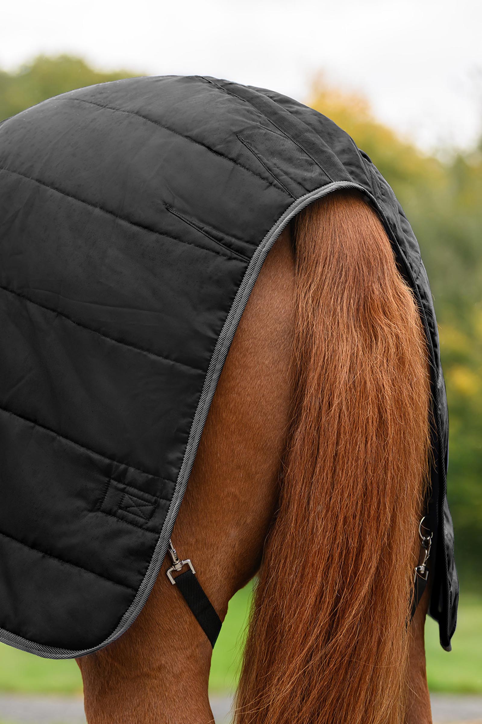 Waldhausen ECONOMIC coperta da scuderia, 100g