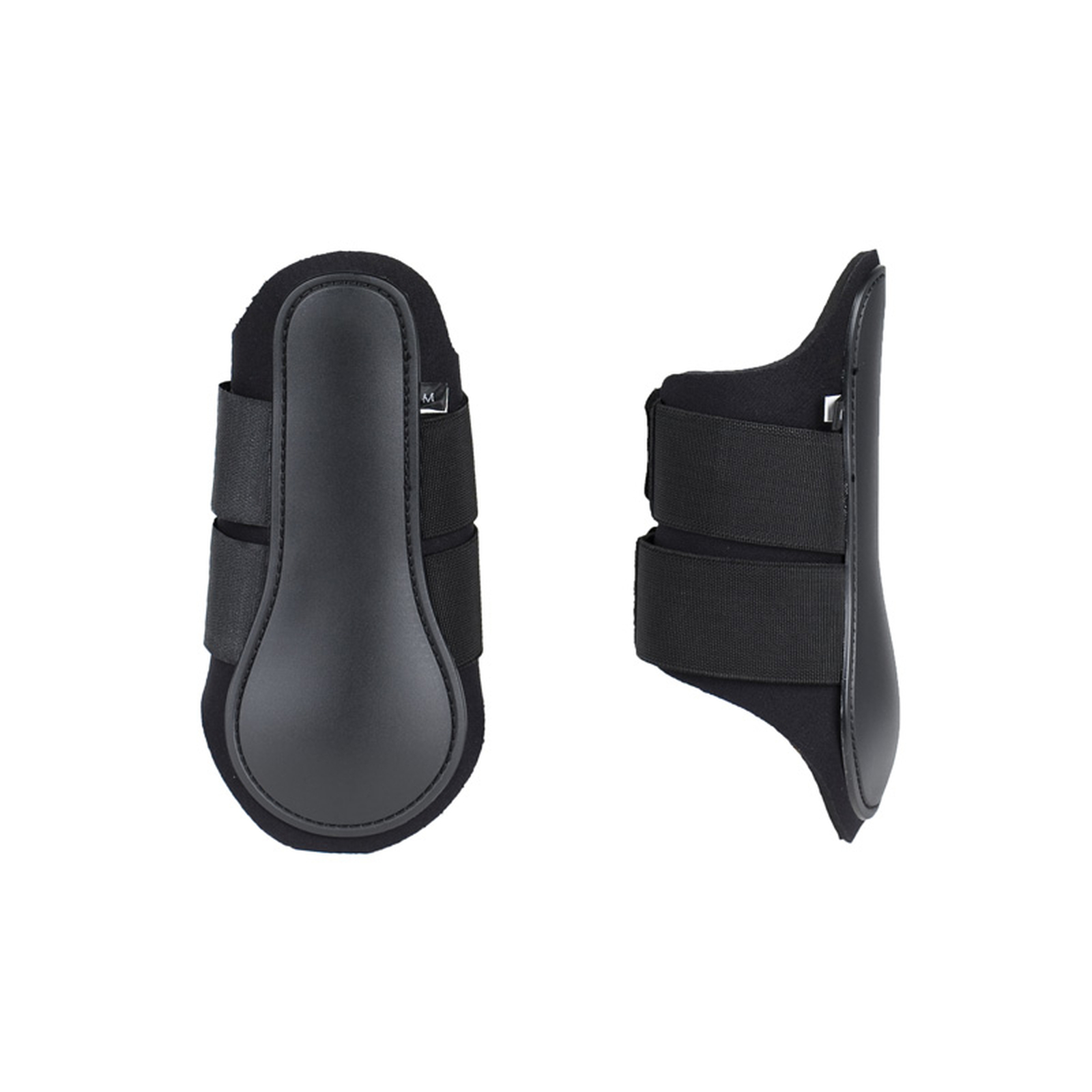 Paratendini FT, anteriore