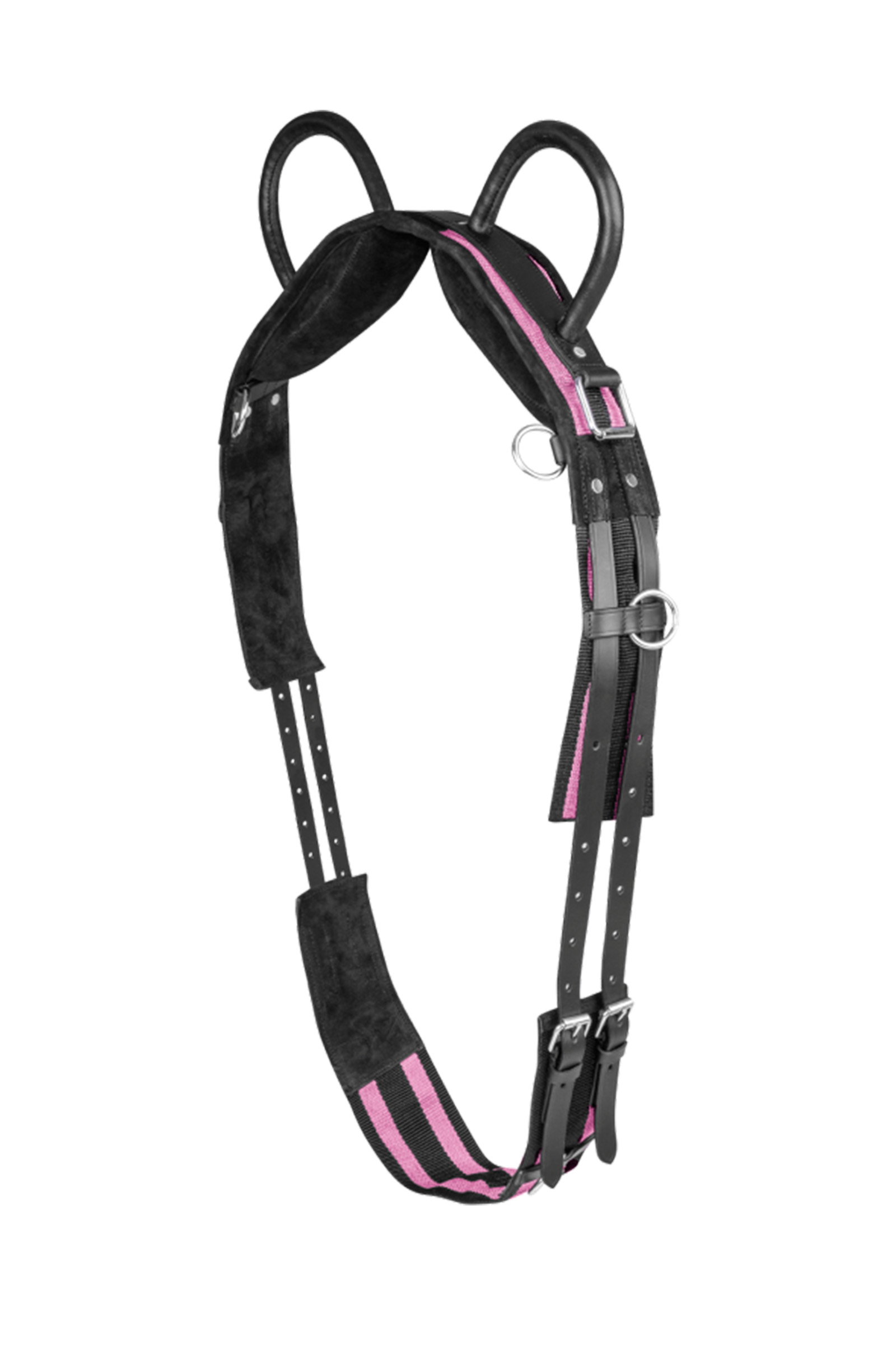 Waldhausen Surcingle con due maniglie