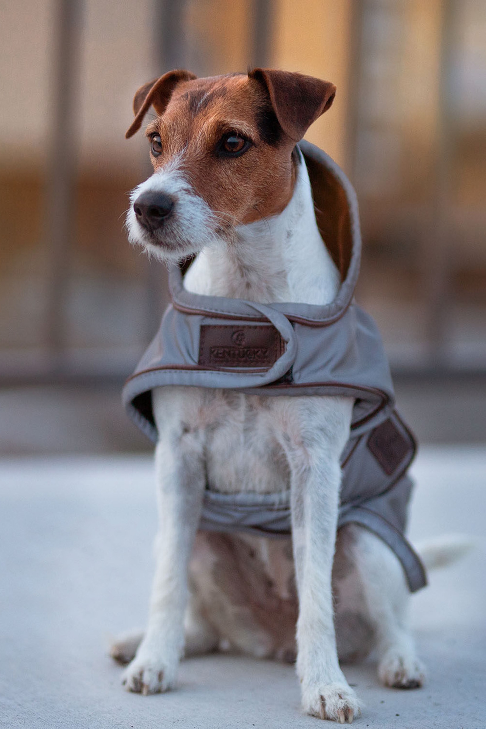 Cappotto per cani Kentucky Dogwear riflettente e idrorepellente