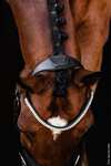 Schockem&ouml;hle Sports Johnny Bridle - Isabell Werth Collection