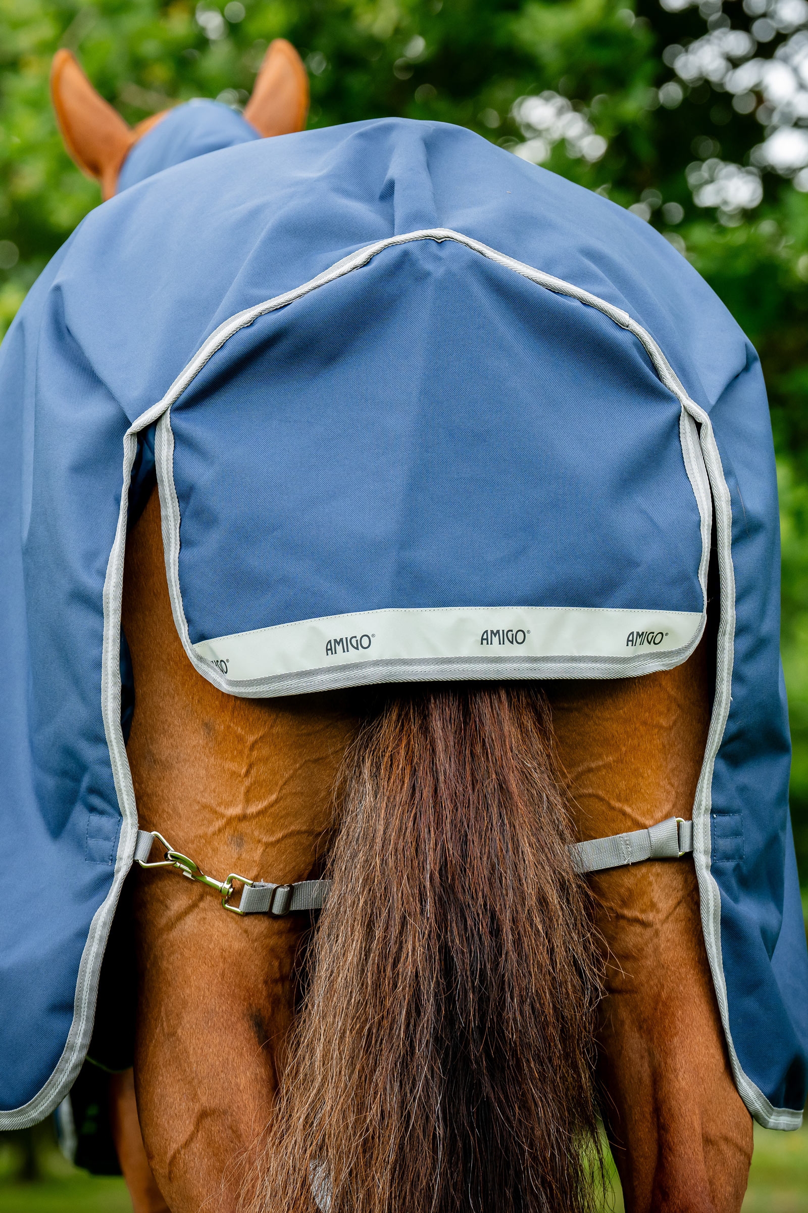 Horseware Amigo 1200D Plus coperta da esterno, 250 g