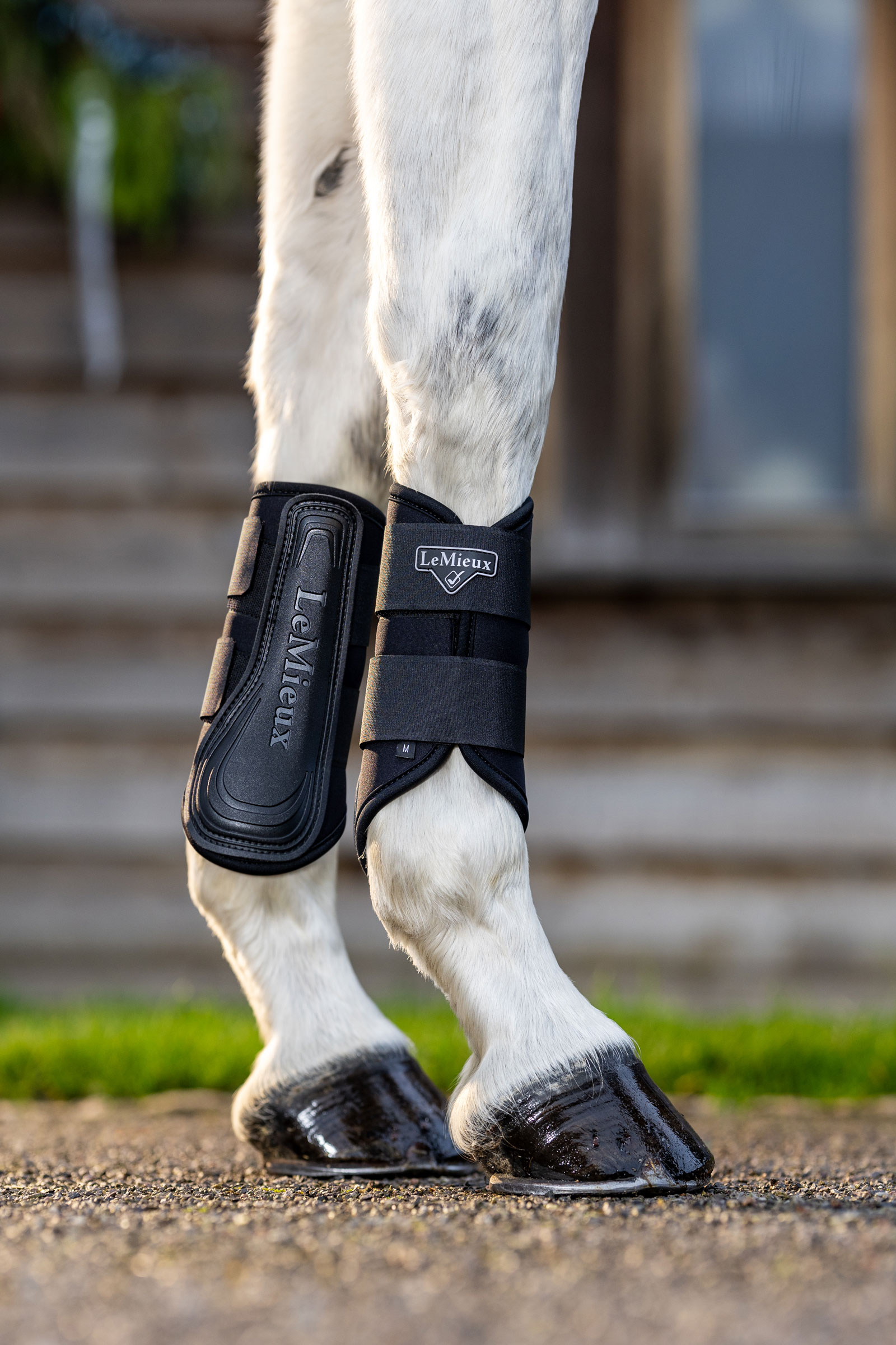 LeMieux Grafter stinchiere dressage