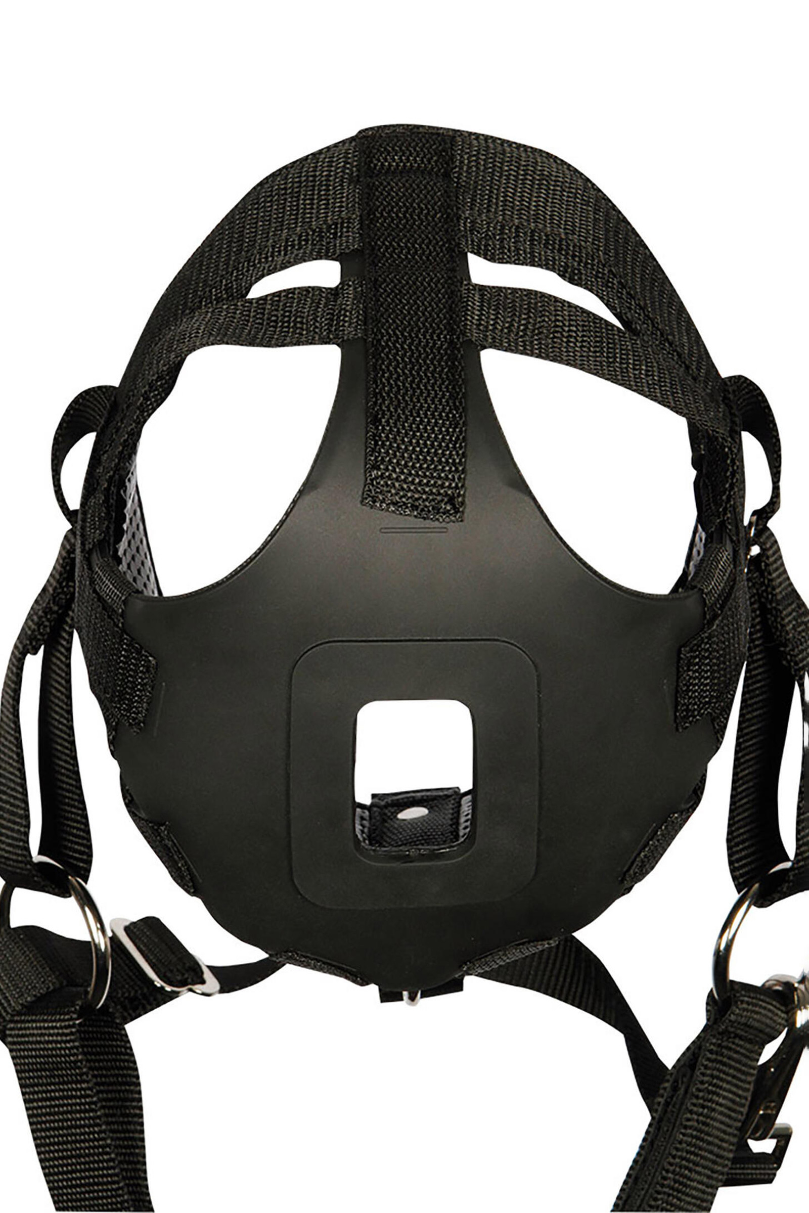 Aria del muso del cavallo al pascolo di Harry