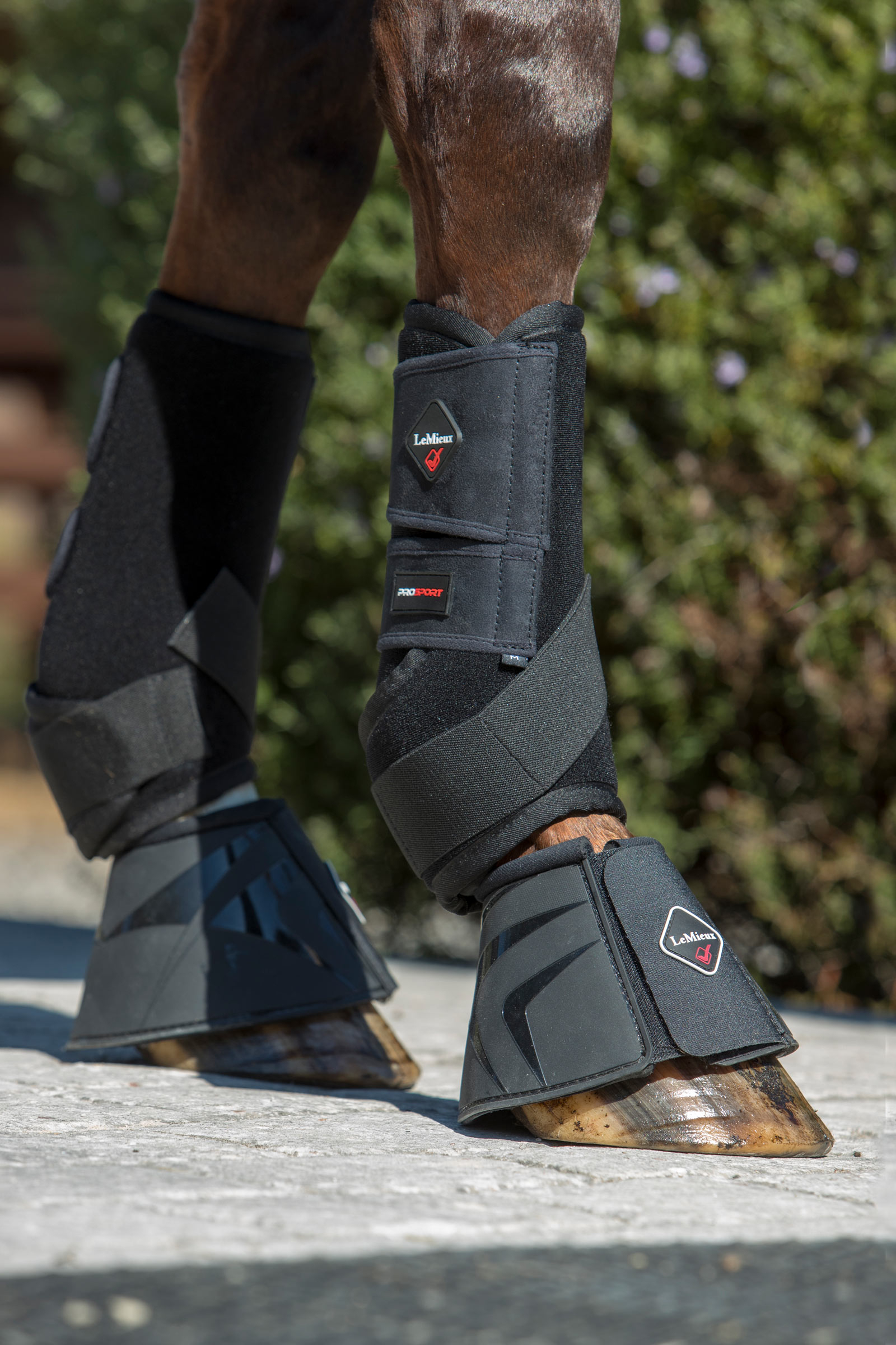 LeMieux Ultra Support Stinchiere