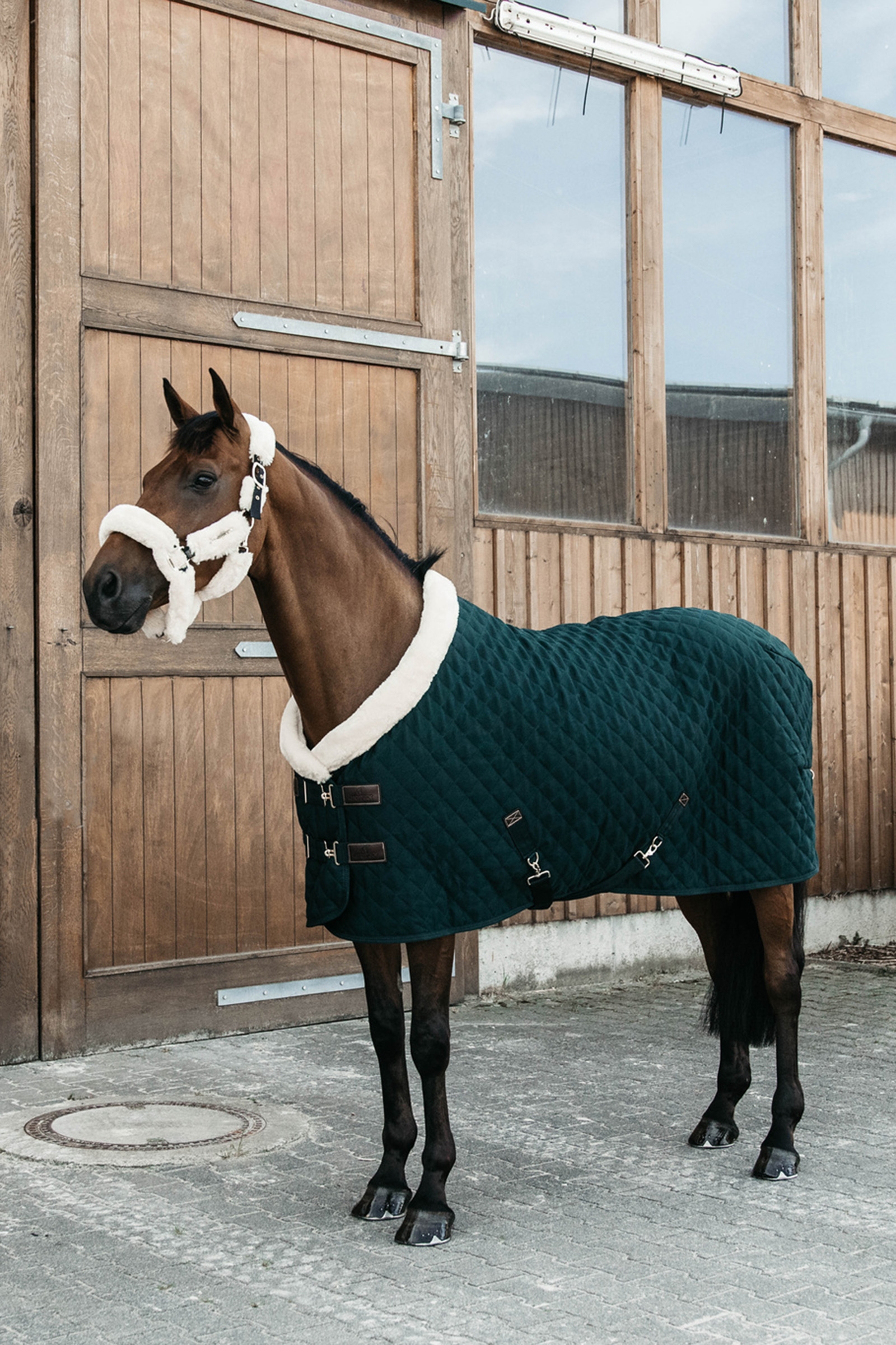Dark Green Kentucky Horsewear Coperta da concorso, 160 gr