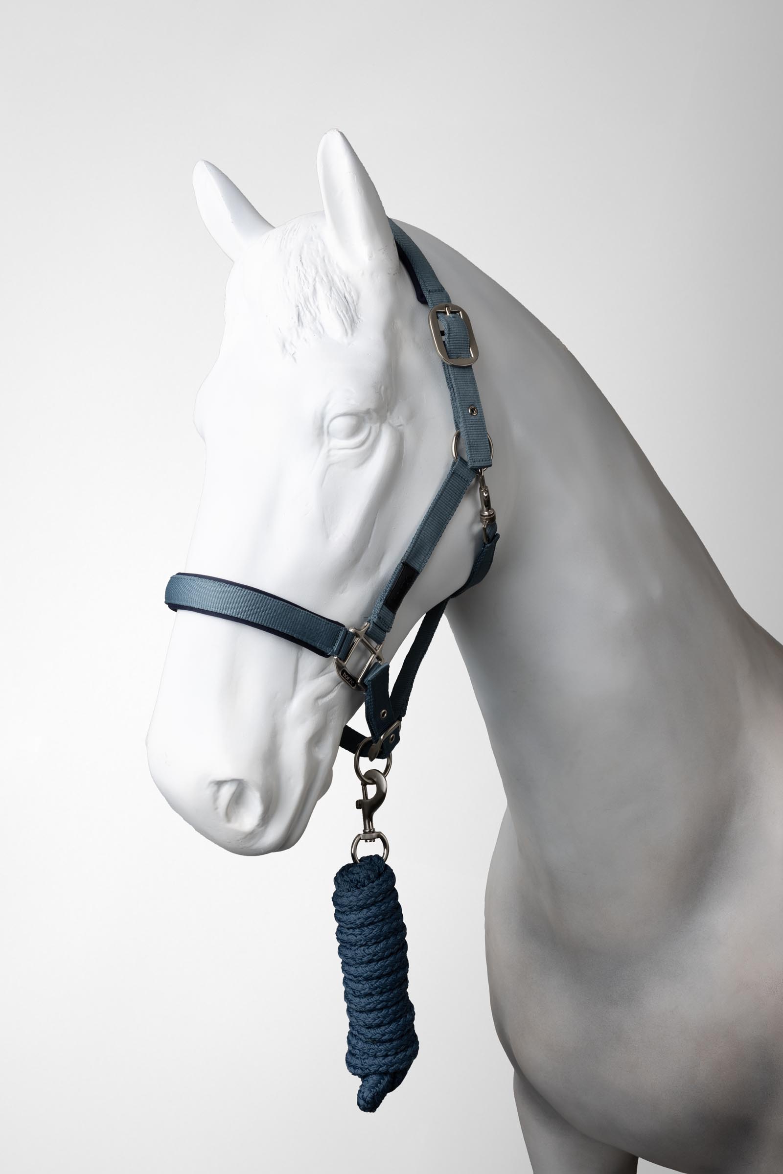 Stormy weather Horze Lucca cavezza e longhina set