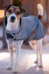 Cappotto per cani Kentucky Dogwear riflettente e idrorepellente